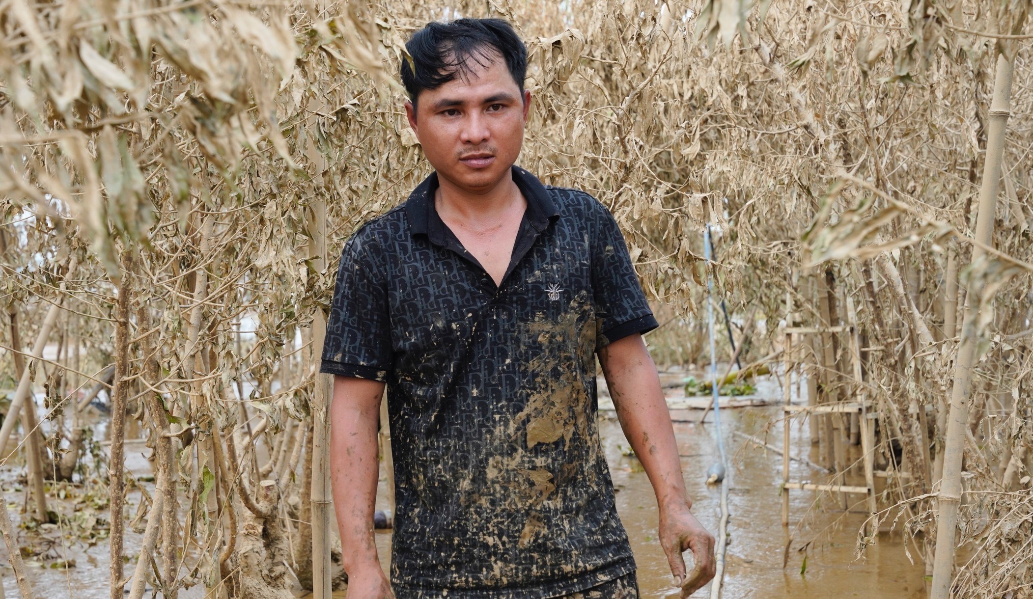L&agrave;ng đ&agrave;o Nhật T&acirc;n tan hoang sau b&atilde;o, người d&acirc;n lo mất trắng vụ Tết- Ảnh 6.