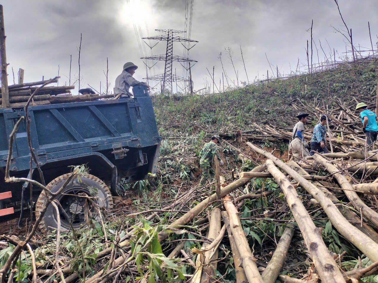 Quảng Ninh đề nghị c&aacute;c ng&acirc;n h&agrave;ng hỗ trợ kh&aacute;ch bị thiệt hại do b&atilde;o số 3- Ảnh 1.