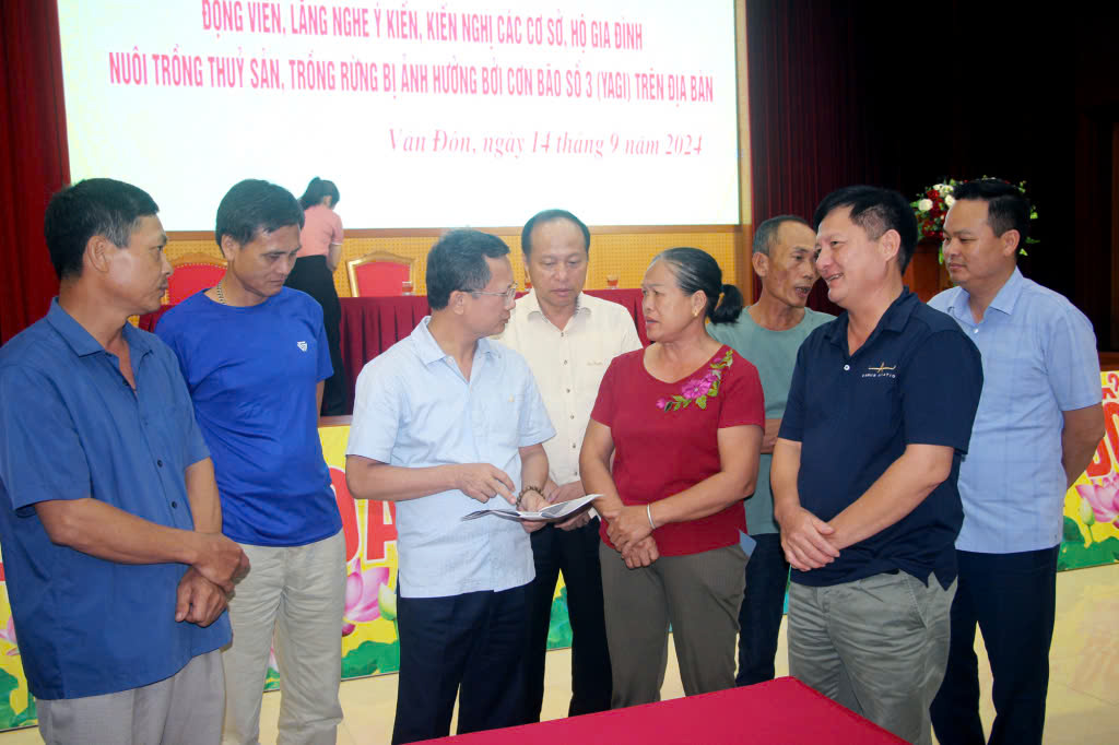 Những tỷ ph&uacute; trồng rừng đất Mỏ bỗng chốc trắng tay sau b&atilde;o dữ- Ảnh 5.