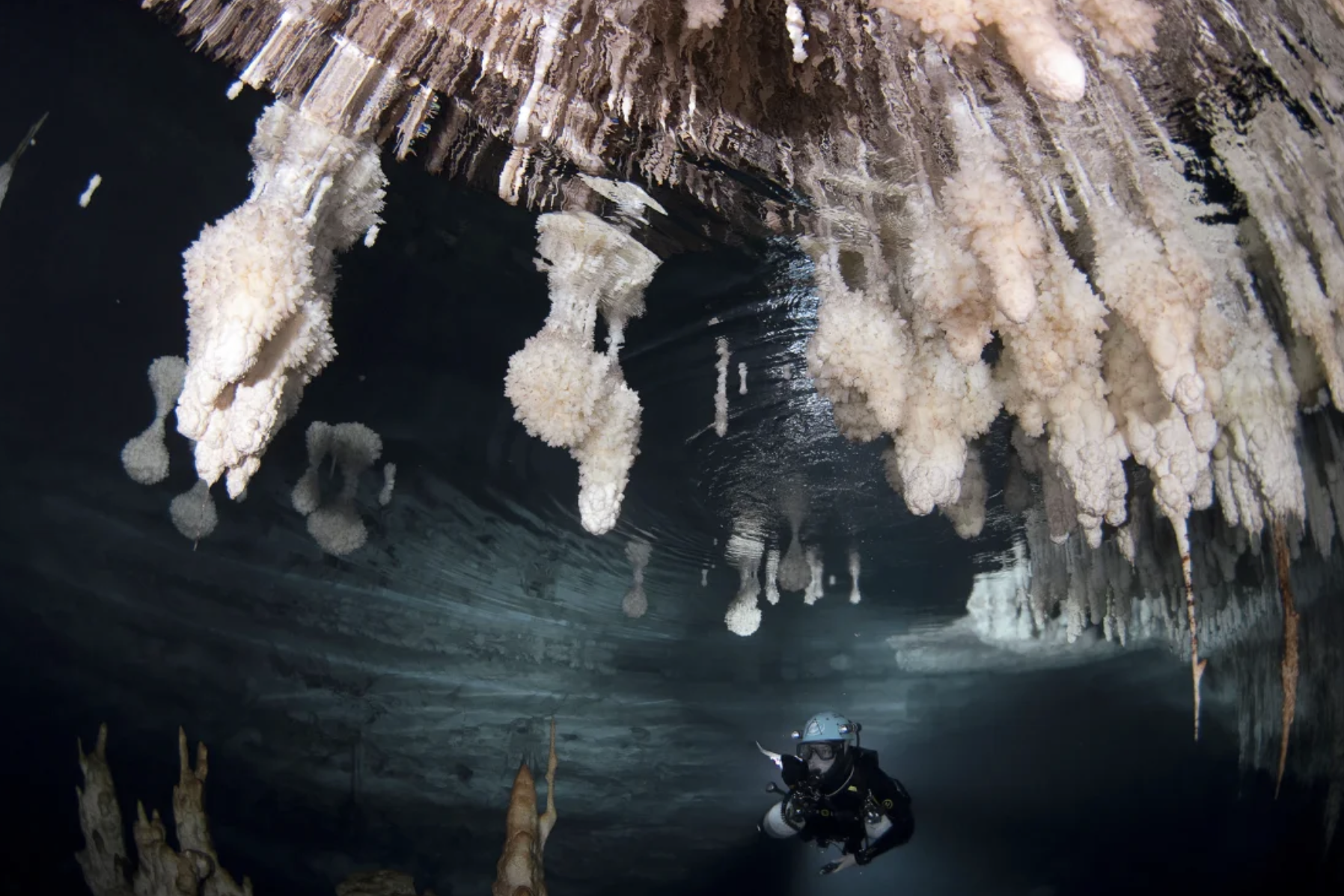 Ph&aacute;t hiện c&acirc;y cầu đ&aacute; cổ, h&eacute; mở b&iacute; ẩn về hoạt động của con người- Ảnh 2.