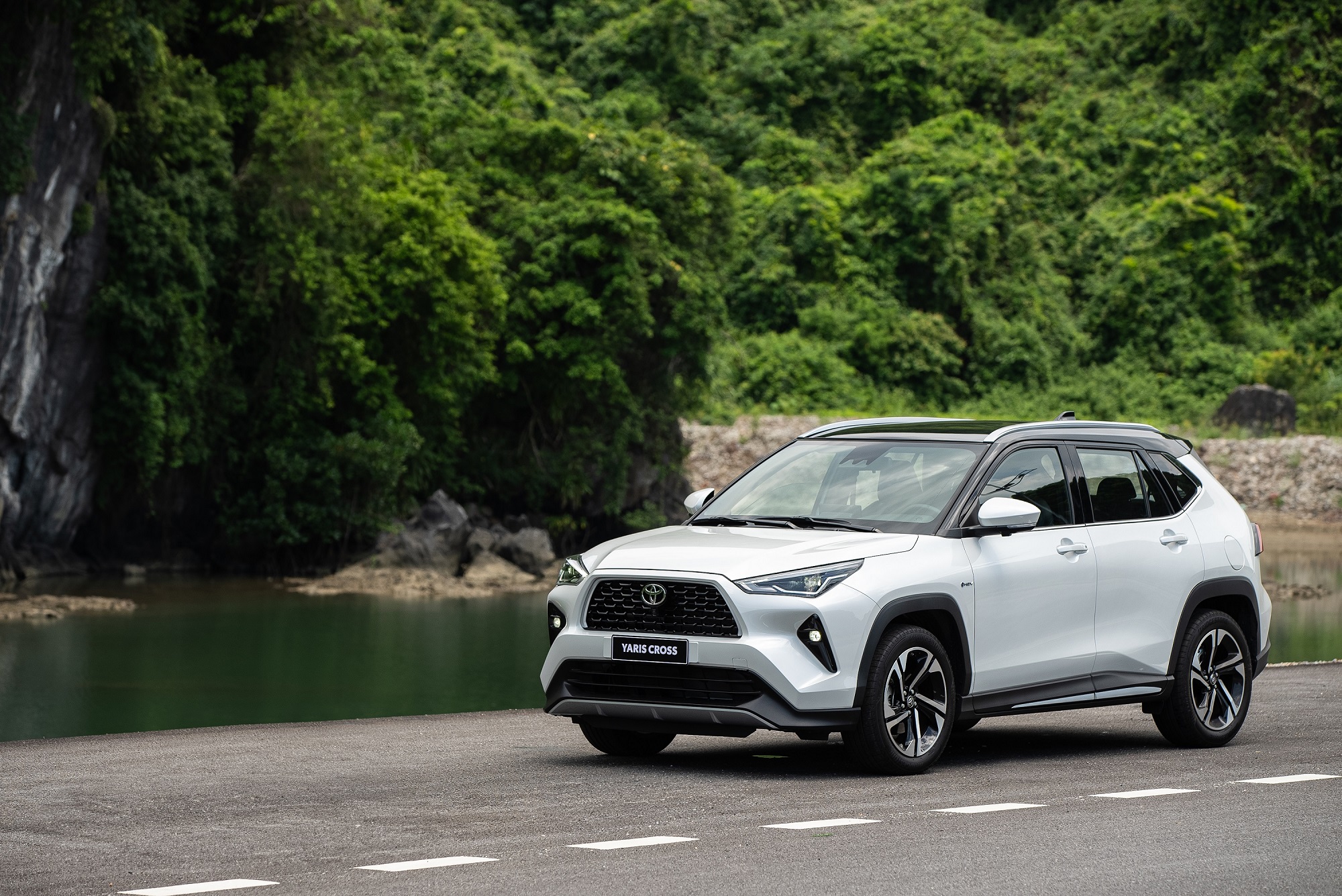 Toyota Việt Nam lắp ráp ô tô mới và xe hybrid tại Phú Thọ năm 2026 - Ảnh 1.