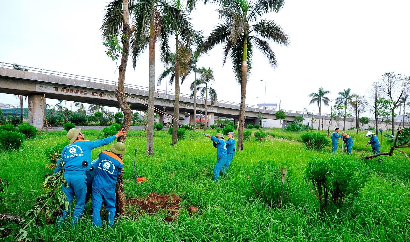 Hải Dương: Chống dựng, phun dinh dưỡng để phục hồi c&acirc;y xanh g&atilde;y đổ sau b&atilde;o- Ảnh 1.