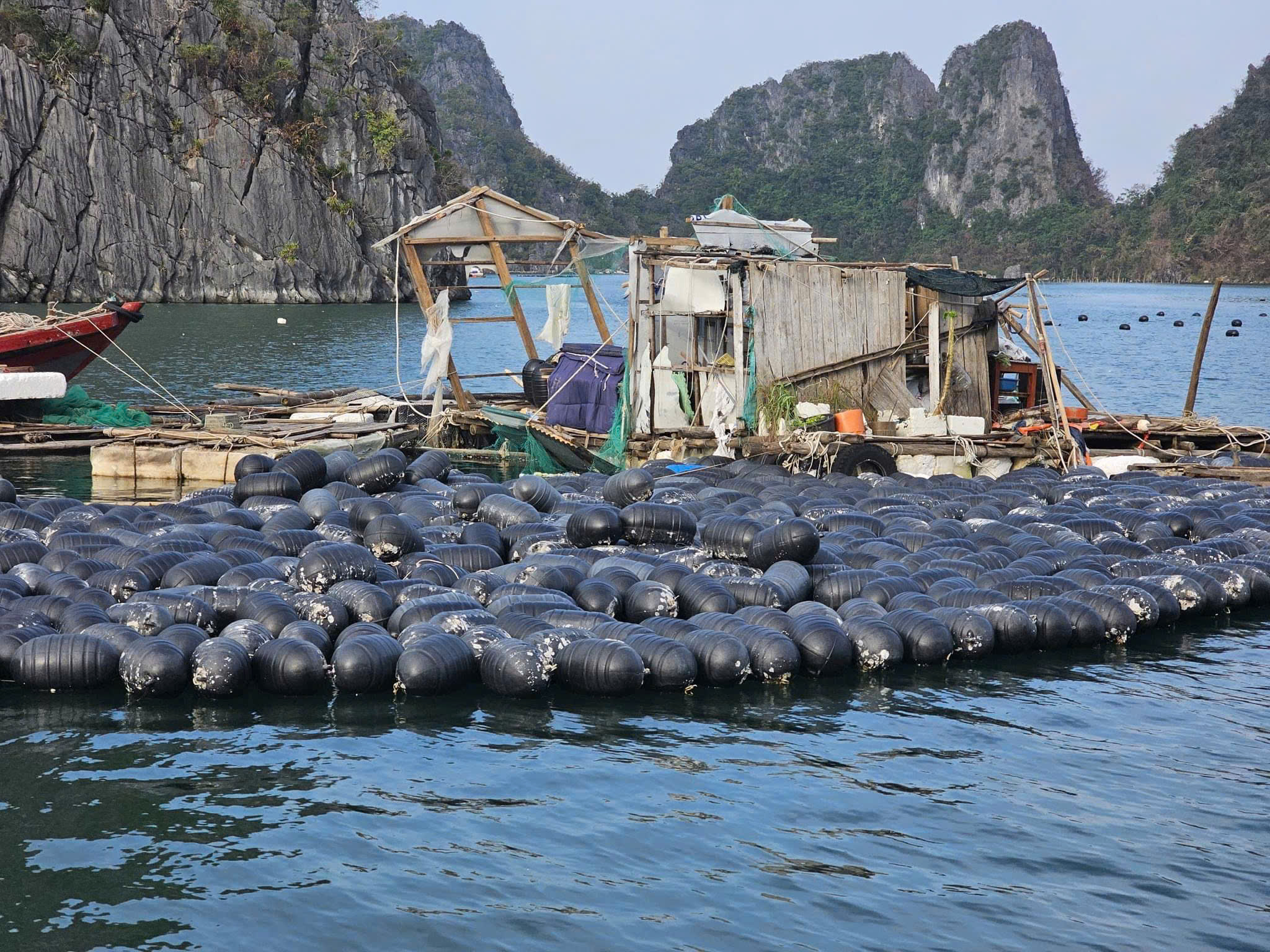 Quảng Ninh c&aacute;ch n&agrave;o "thần tốc" phục hồi du lịch sau b&atilde;o Yagi?- Ảnh 1.