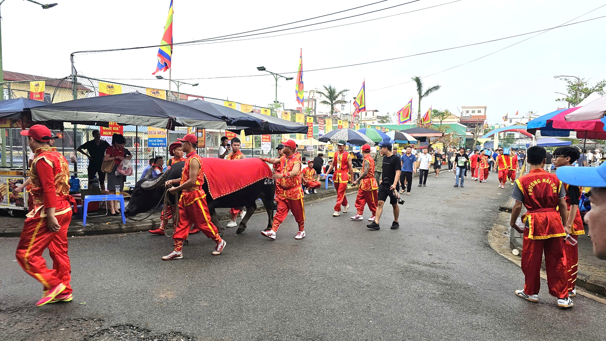 Chọi trâu Đồ Sơn 2024: Cò vé chào mời, bất ngờ ngay từ kháp đấu đầu- Ảnh 4. Chọi trâu Đồ Sơn 2024: Cò vé chào mời, bất ngờ ngay từ kháp đấu đầu- Ảnh 4.