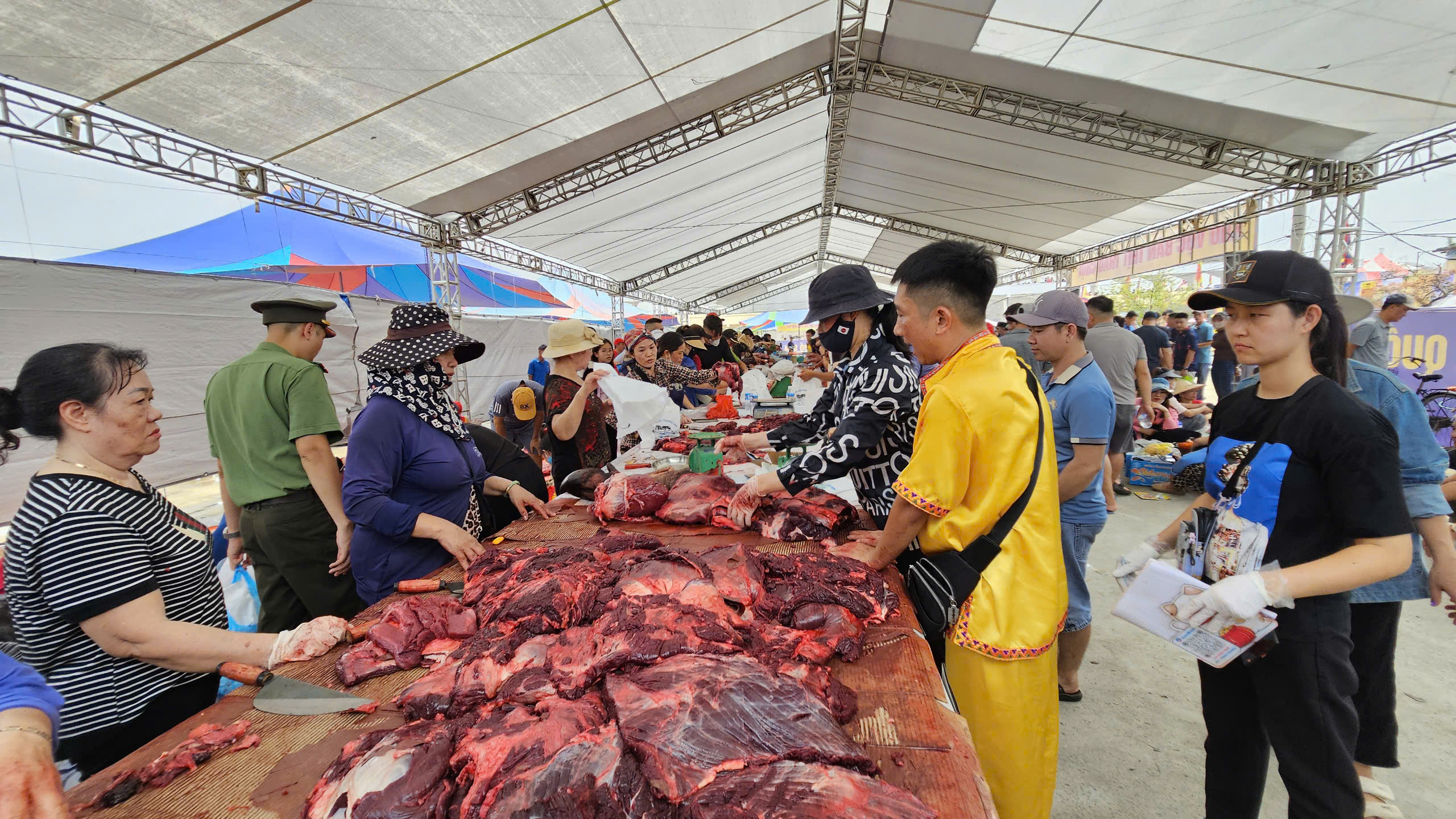 Chọi tr&acirc;u Đồ Sơn 2024: Những điều chưa biết về "&ocirc;ng" tr&acirc;u v&ocirc; địch- Ảnh 3.