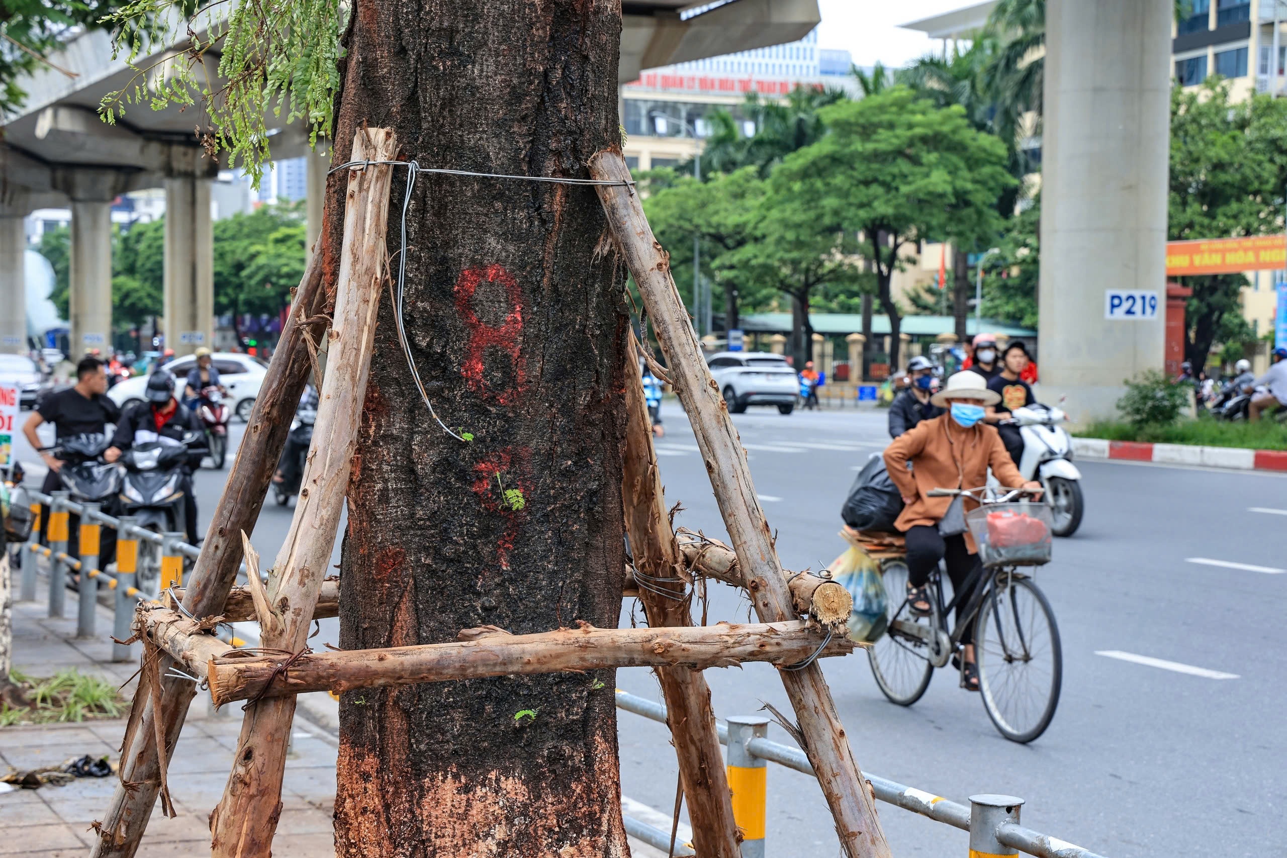 H&agrave; Nội t&aacute;i thiết kh&ocirc;ng gian xanh, nỗ lực "hồi sinh" gần 4.000 c&acirc;y đổ sau b&atilde;o- Ảnh 2.