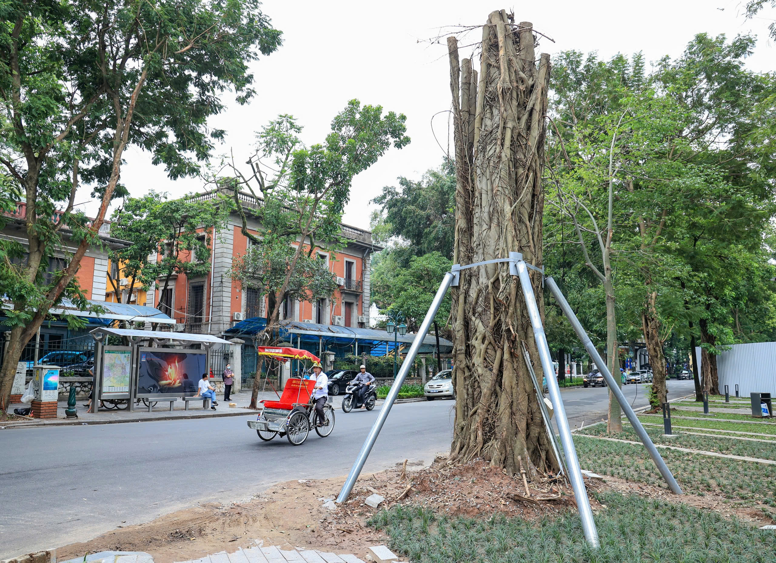 H&agrave; Nội t&aacute;i thiết kh&ocirc;ng gian xanh, nỗ lực "hồi sinh" gần 4.000 c&acirc;y đổ sau b&atilde;o- Ảnh 14.