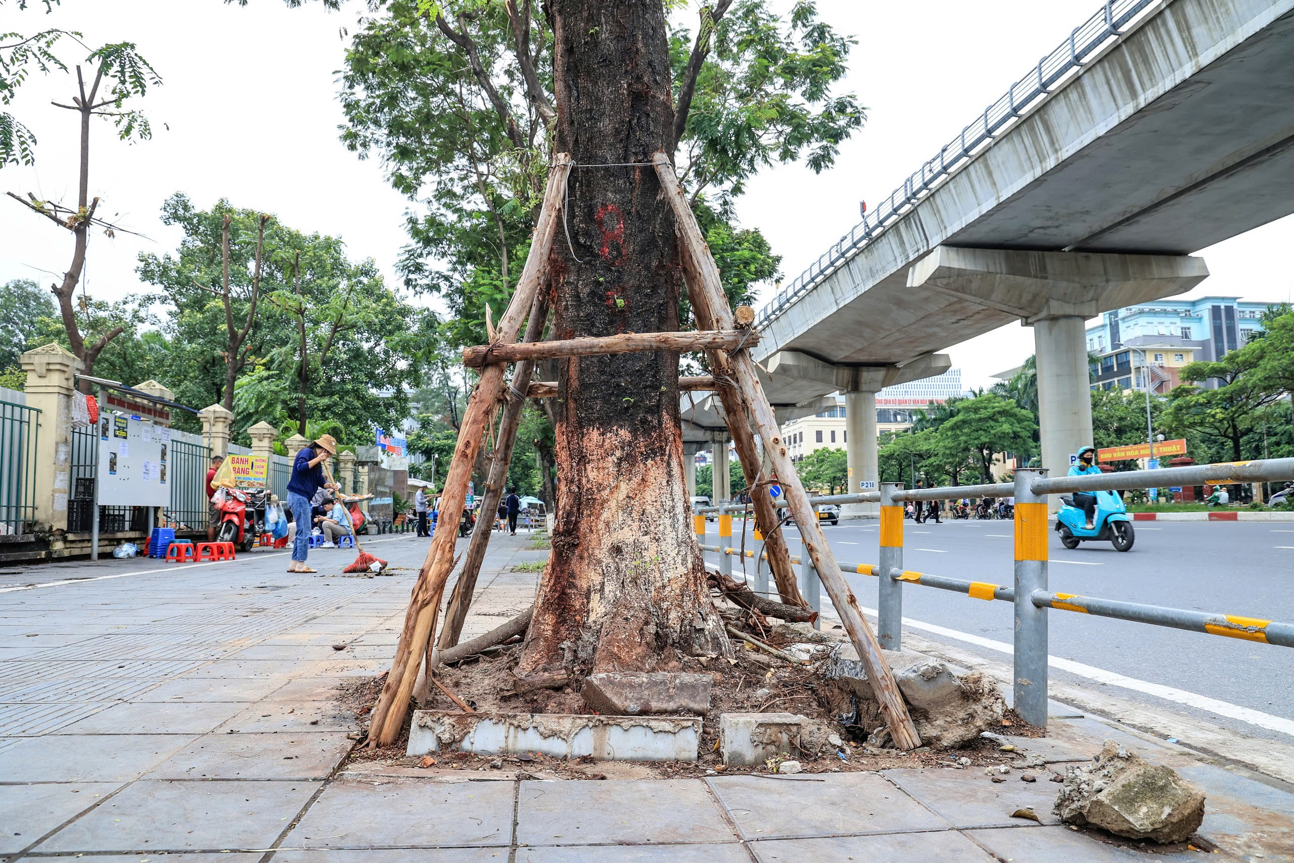 H&agrave; Nội t&aacute;i thiết kh&ocirc;ng gian xanh, nỗ lực "hồi sinh" gần 4.000 c&acirc;y đổ sau b&atilde;o- Ảnh 4.