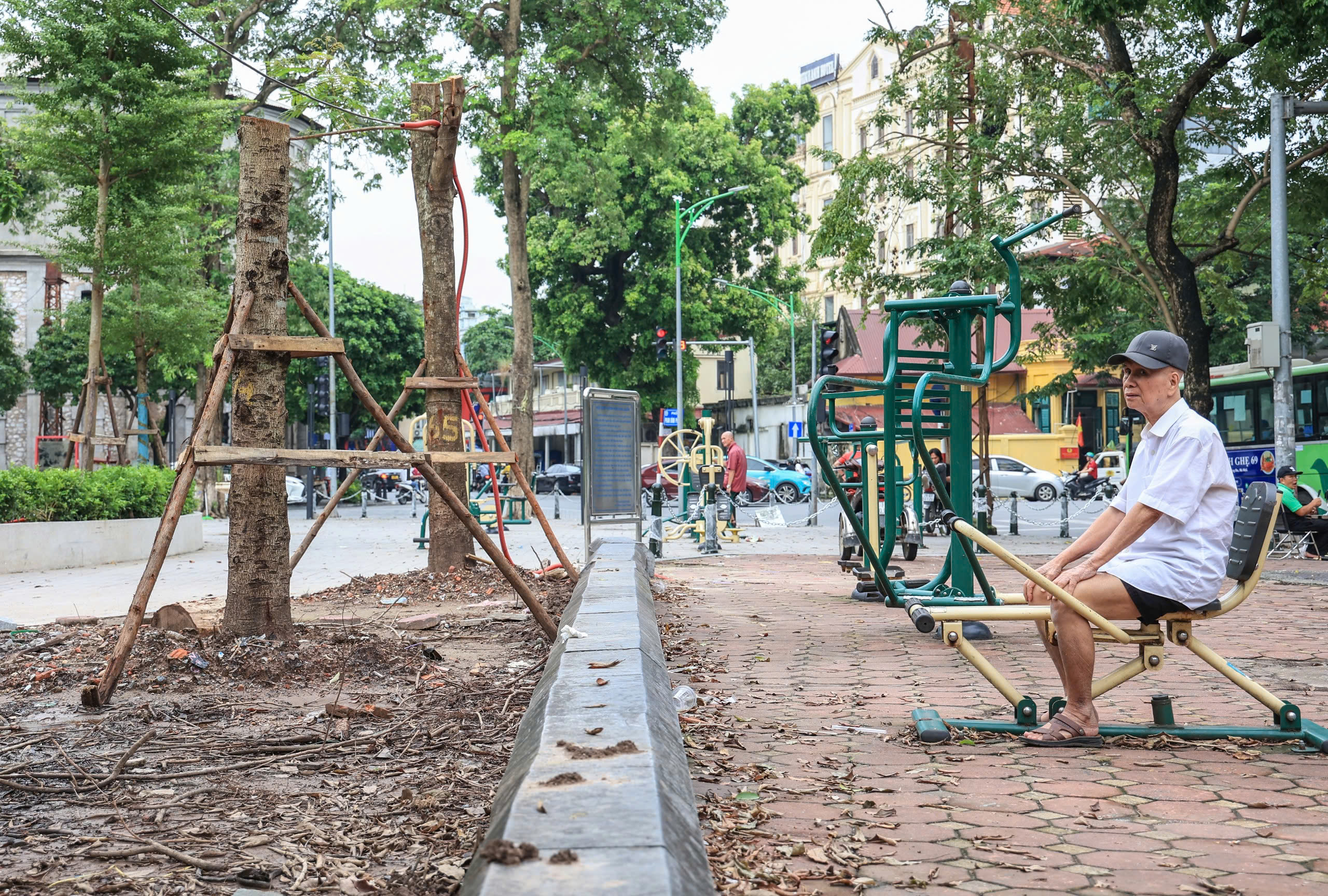 H&agrave; Nội t&aacute;i thiết kh&ocirc;ng gian xanh, nỗ lực "hồi sinh" gần 4.000 c&acirc;y đổ sau b&atilde;o- Ảnh 12.