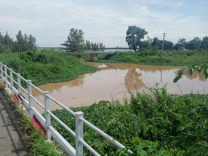B&eacute; trai 3 tuổi tử vong dưới k&ecirc;nh G&ograve; Thuyền ở Long An- Ảnh 1.