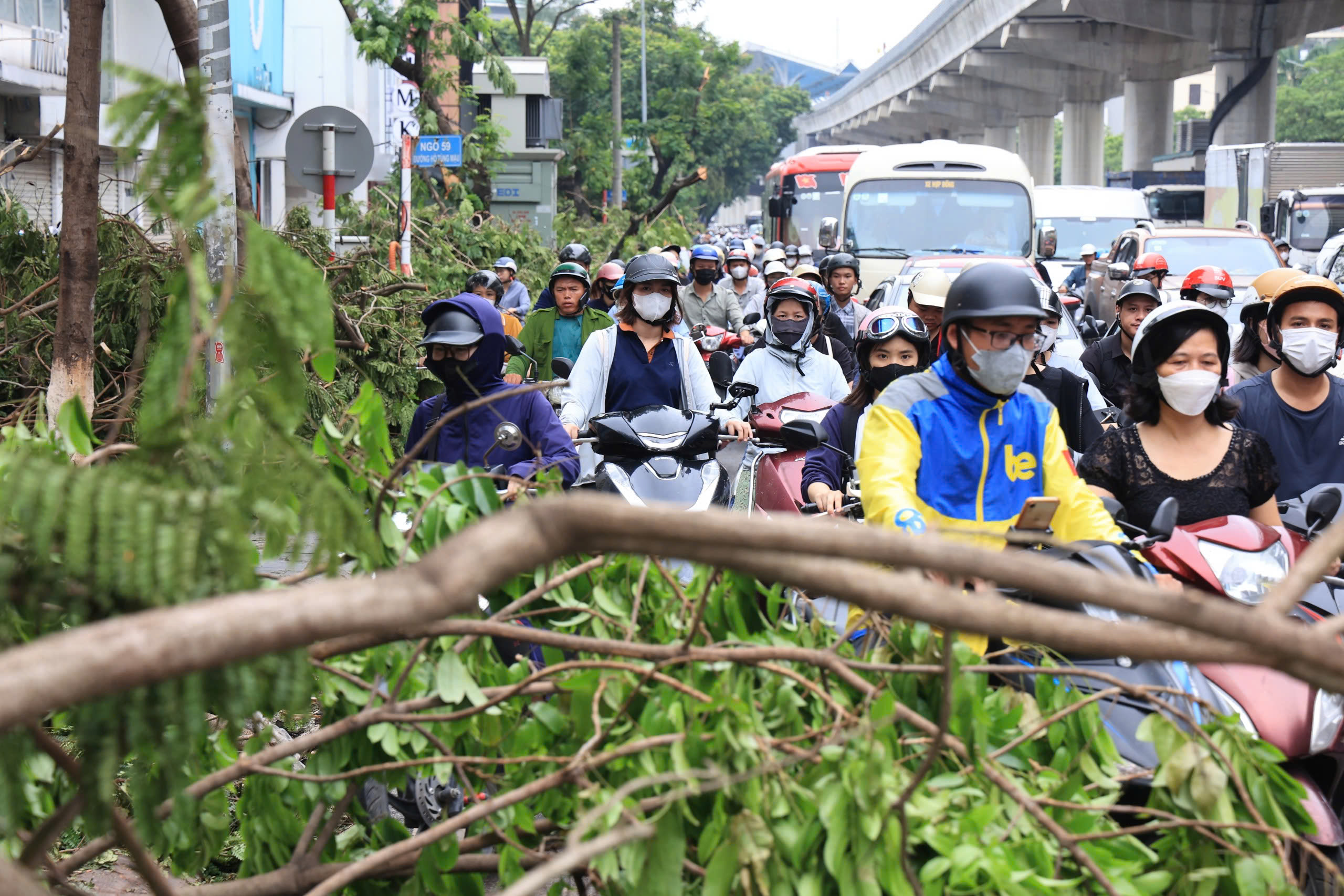 H&agrave; Nội t&aacute;i thiết kh&ocirc;ng gian xanh, nỗ lực "hồi sinh" gần 4.000 c&acirc;y đổ sau b&atilde;o- Ảnh 3.
