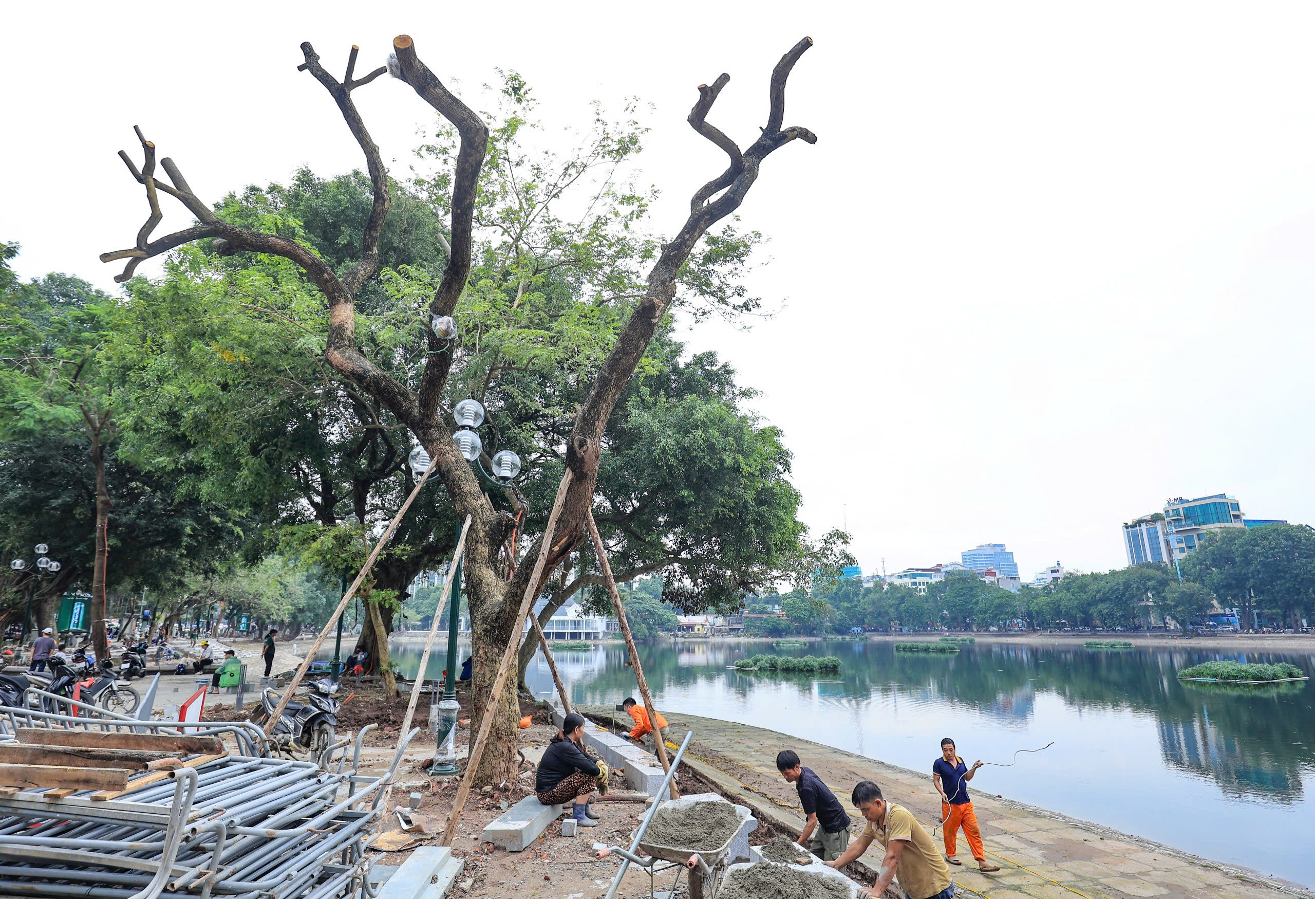 H&agrave; Nội t&aacute;i thiết kh&ocirc;ng gian xanh, nỗ lực "hồi sinh" gần 4.000 c&acirc;y đổ sau b&atilde;o- Ảnh 17.