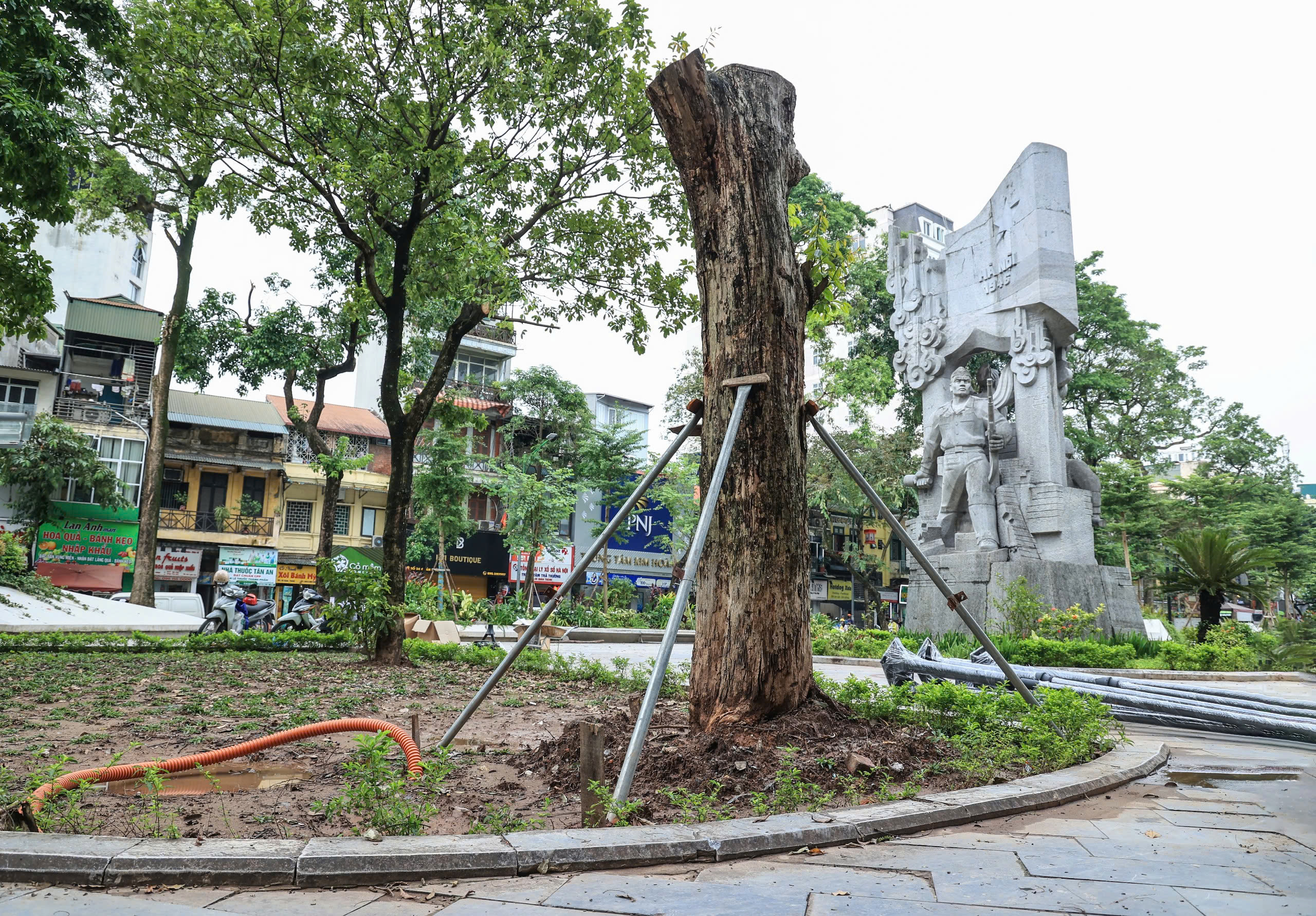 H&agrave; Nội t&aacute;i thiết kh&ocirc;ng gian xanh, nỗ lực "hồi sinh" gần 4.000 c&acirc;y đổ sau b&atilde;o- Ảnh 10.