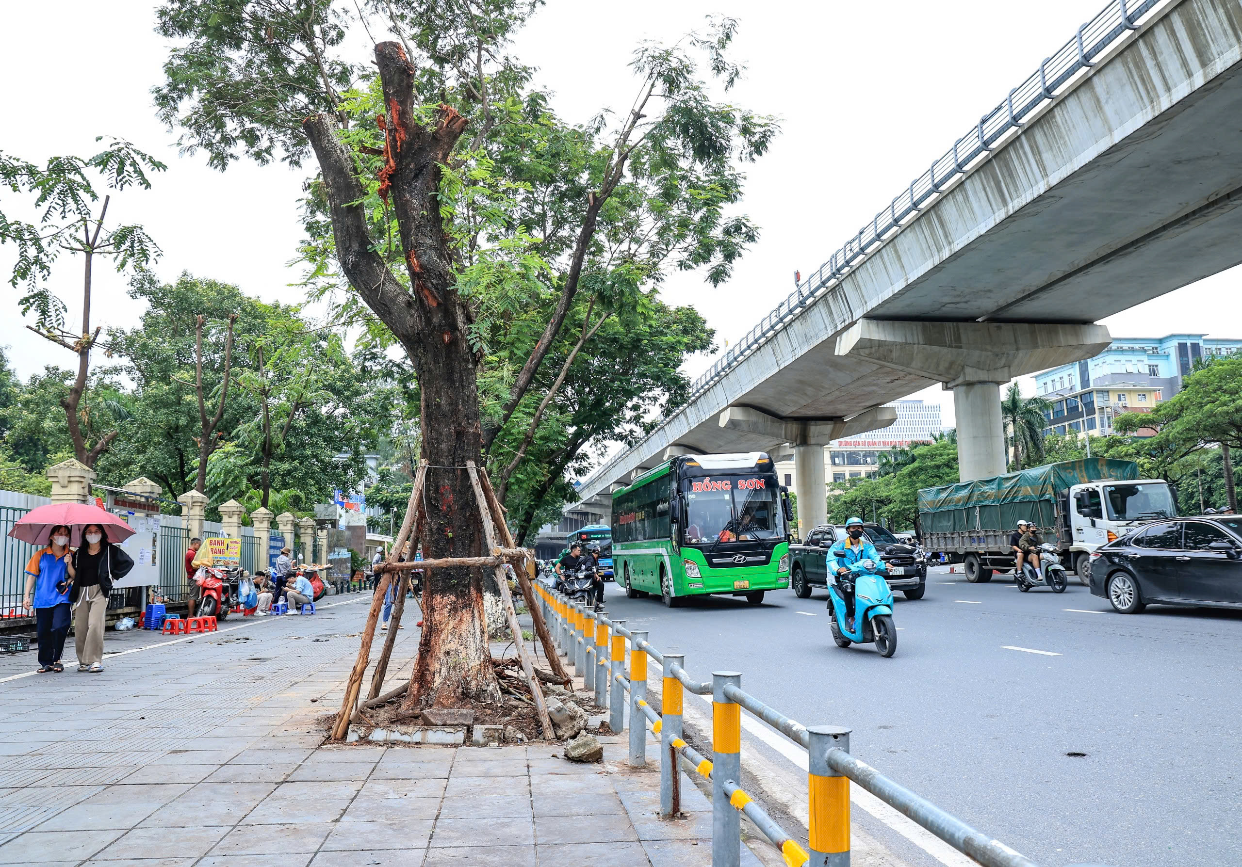 H&agrave; Nội t&aacute;i thiết kh&ocirc;ng gian xanh, nỗ lực "hồi sinh" gần 4.000 c&acirc;y đổ sau b&atilde;o- Ảnh 1.