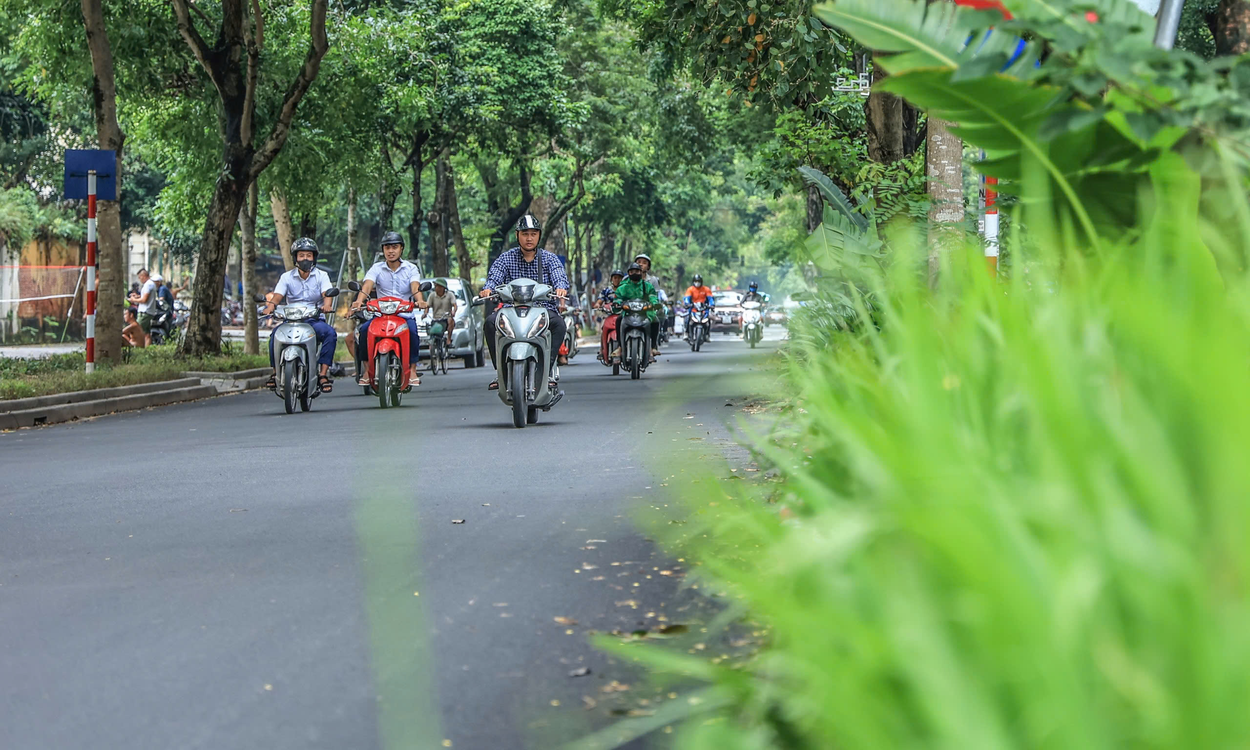 H&agrave; Nội t&aacute;i thiết kh&ocirc;ng gian xanh, nỗ lực "hồi sinh" gần 4.000 c&acirc;y đổ sau b&atilde;o- Ảnh 5.