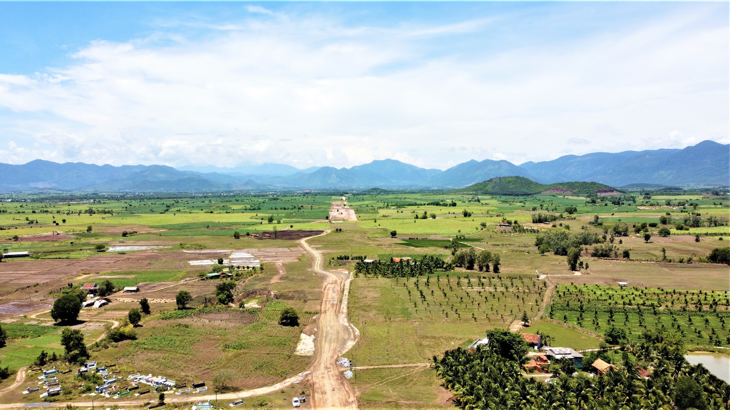 H&agrave;ng ngh&igrave;n c&acirc;y mai l&eacute;n mọc tr&ecirc;n ruộng, cản trở thi c&ocirc;ng cao tốc Kh&aacute;nh H&ograve;a - Bu&ocirc;n Ma Thuột- Ảnh 2.