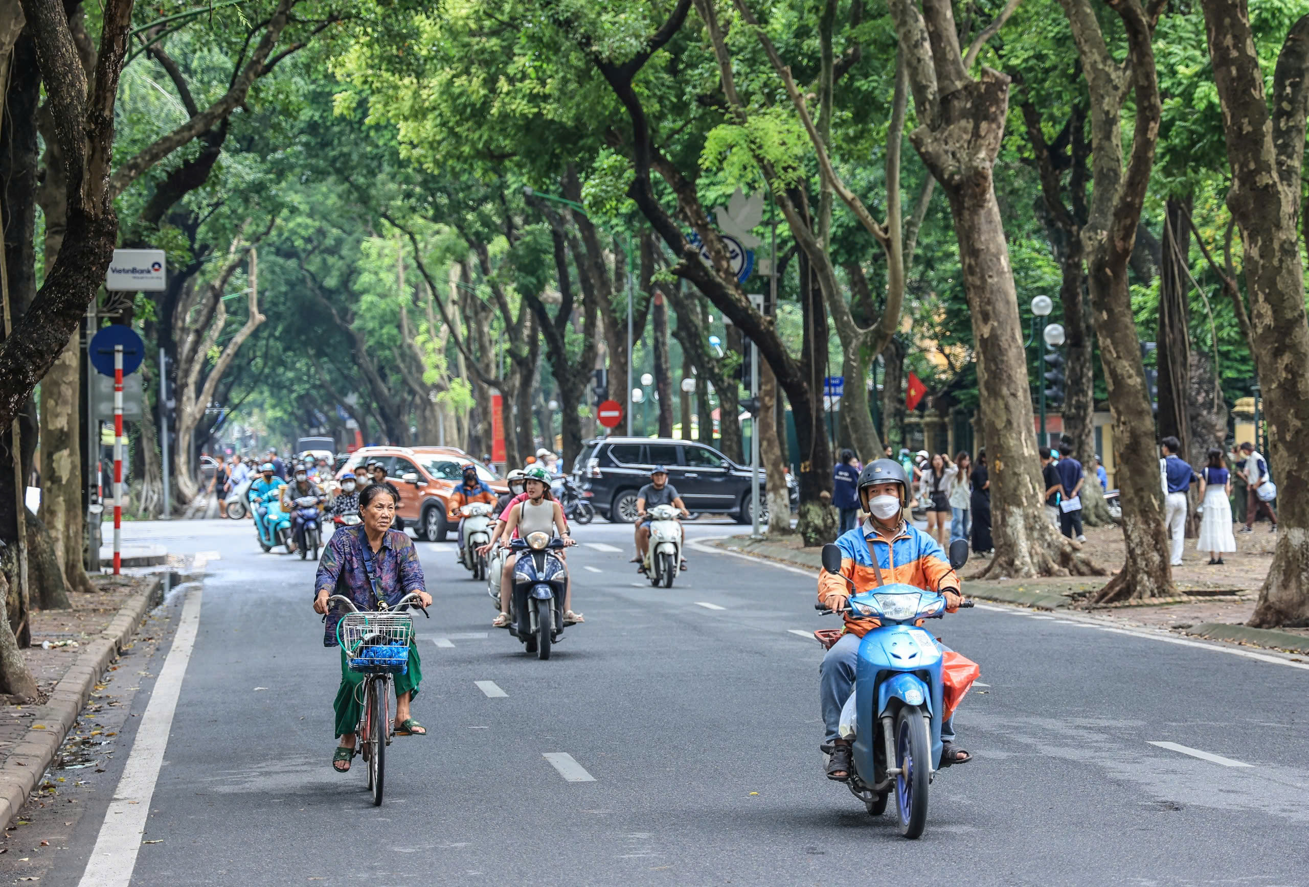 H&agrave; Nội t&aacute;i thiết kh&ocirc;ng gian xanh, nỗ lực "hồi sinh" gần 4.000 c&acirc;y đổ sau b&atilde;o- Ảnh 7.