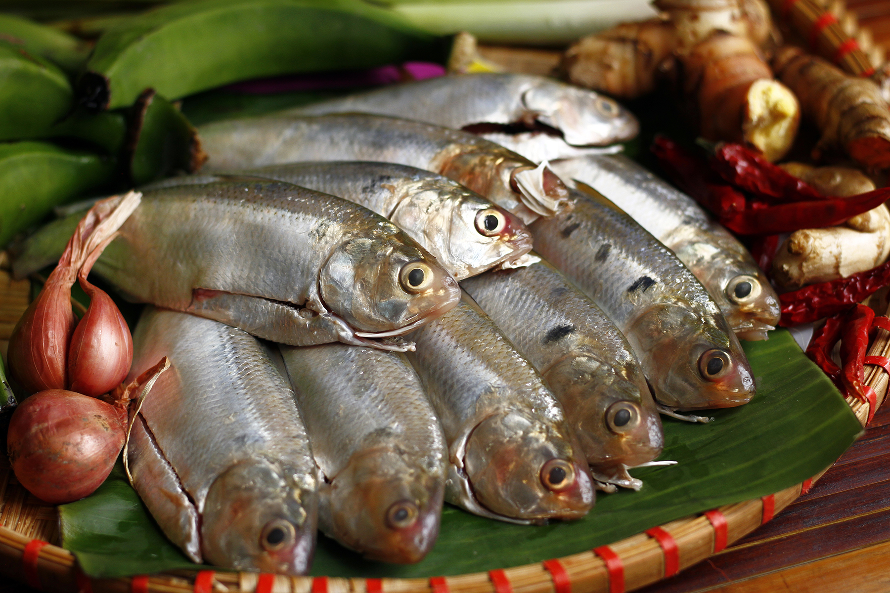 Loại c&aacute; gi&agrave;u Omega-3 vừa ăn ngon lại chắc xương, khỏe tim, kiểm so&aacute;t đường huyết- Ảnh 2.