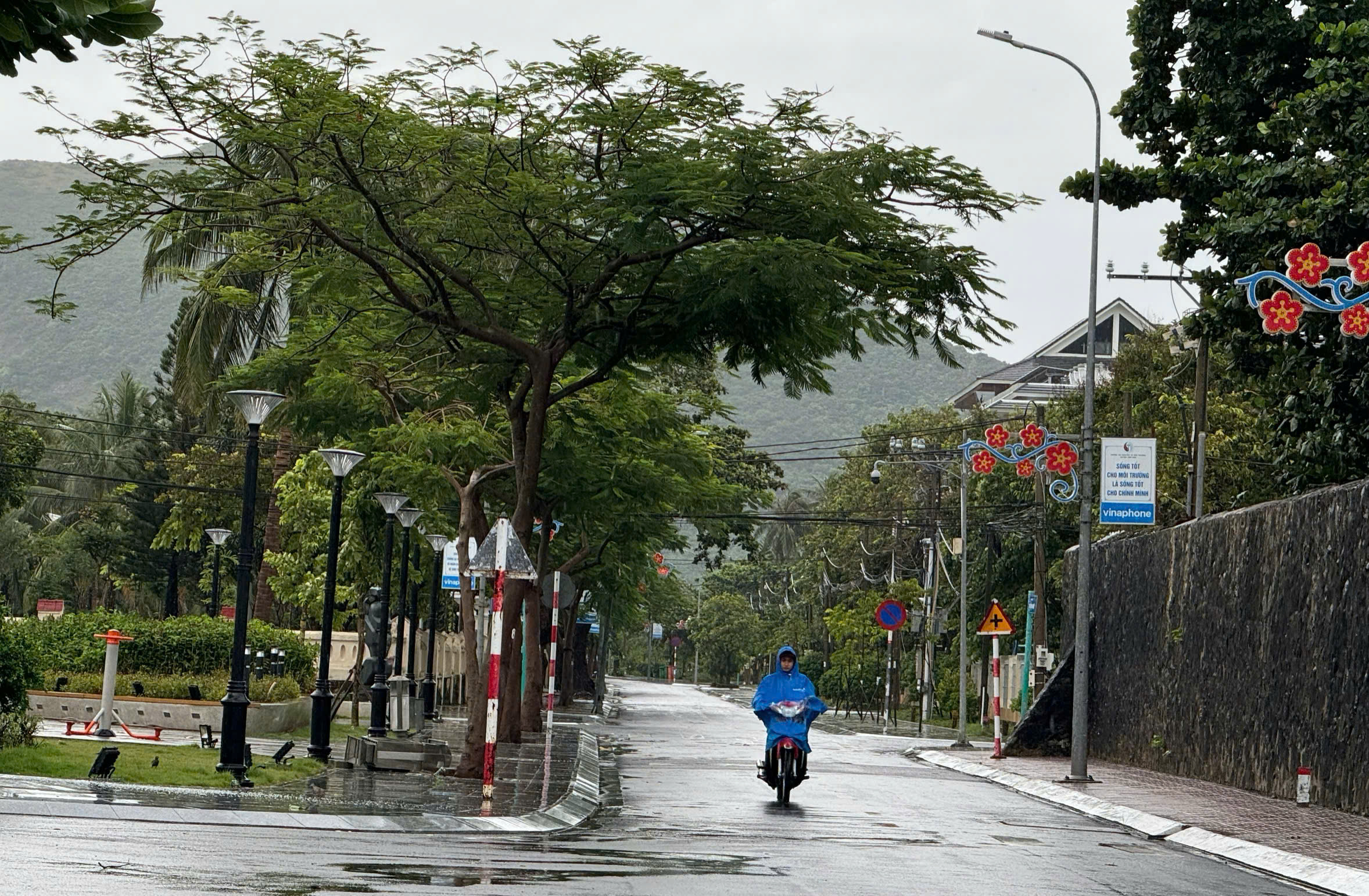 Chuyển mục đ&iacute;ch 1,92ha đất rừng đặc dụng để x&acirc;y dựng nh&agrave; m&aacute;y xử l&yacute; r&aacute;c tại C&ocirc;n Đảo- Ảnh 1.