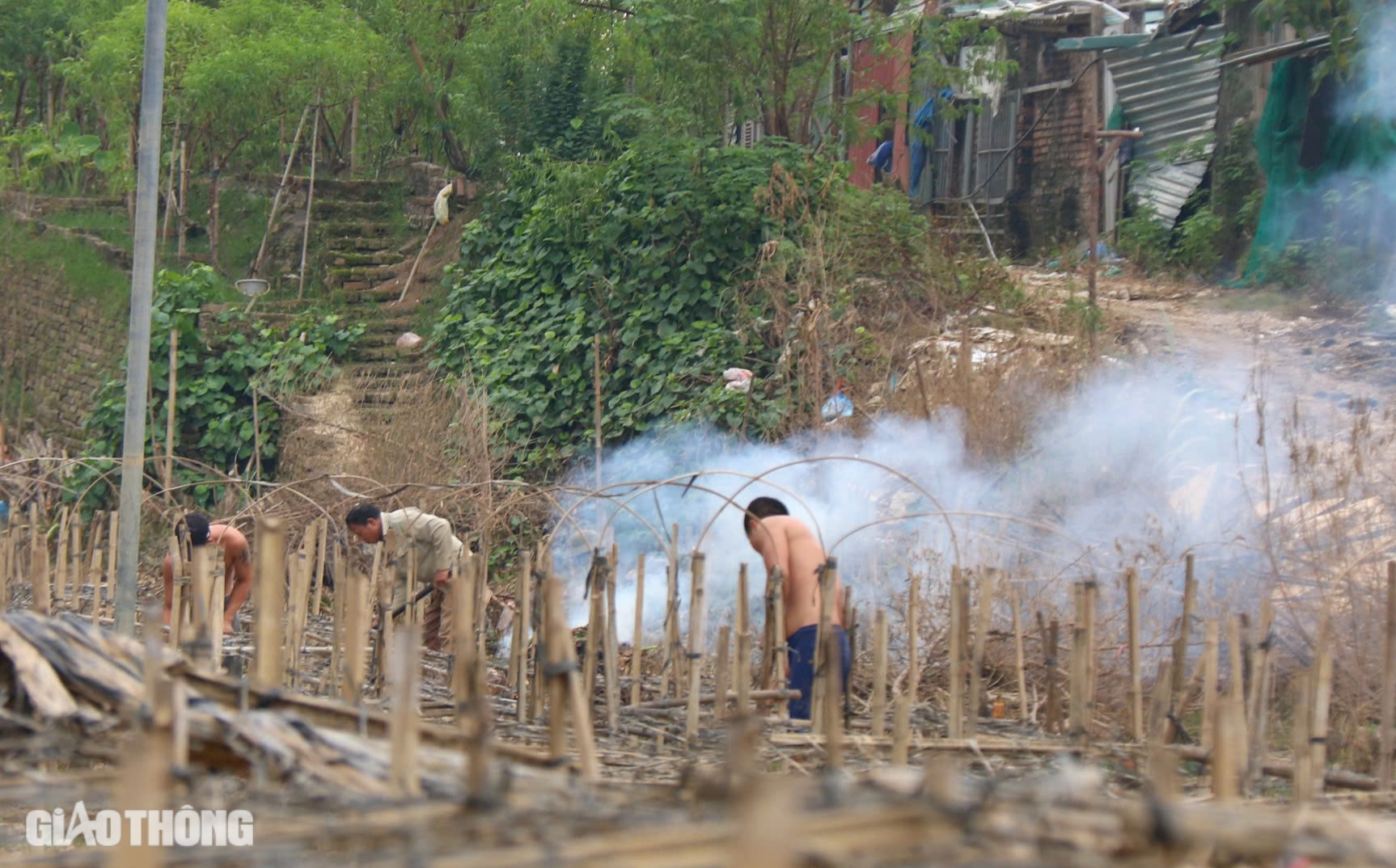 Mưa lũ hậu b&atilde;o Yagi khiến H&agrave; Nội mất m&ugrave;a c&uacute;c họa mi, người trồng hoa tay trắng- Ảnh 4.