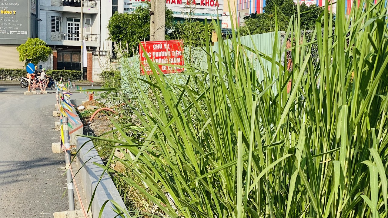 Một g&oacute;i thầu thuộc dự &aacute;n 4.800 tỷ qua s&acirc;n bay T&acirc;n Sơn Nhất c&oacute; nguy cơ "g&atilde;y" tiến độ- Ảnh 3.