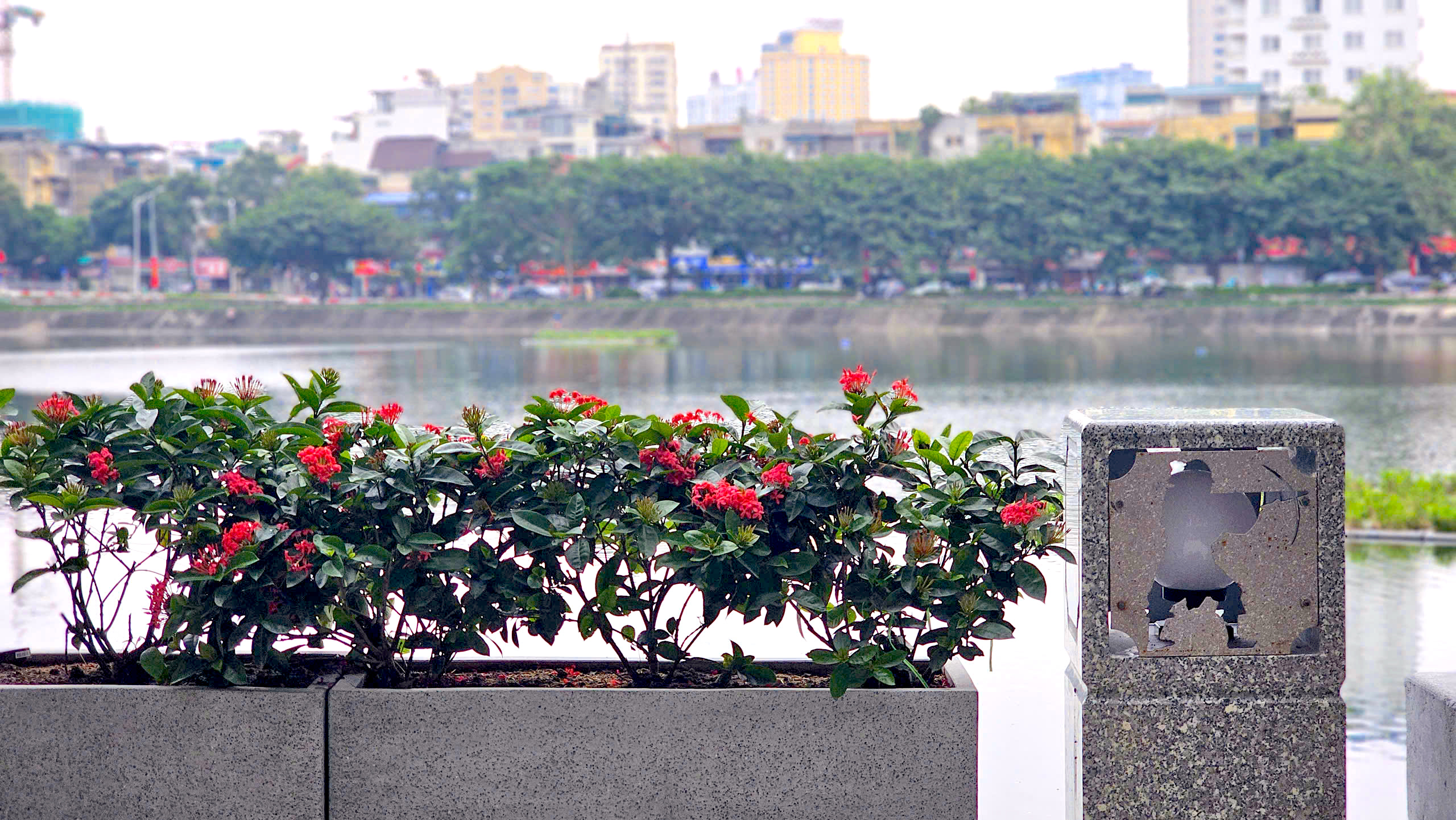 Dấu t&iacute;ch Giảng V&otilde; trường tại phố đi bộ thứ 7 ở H&agrave; Nội- Ảnh 14.