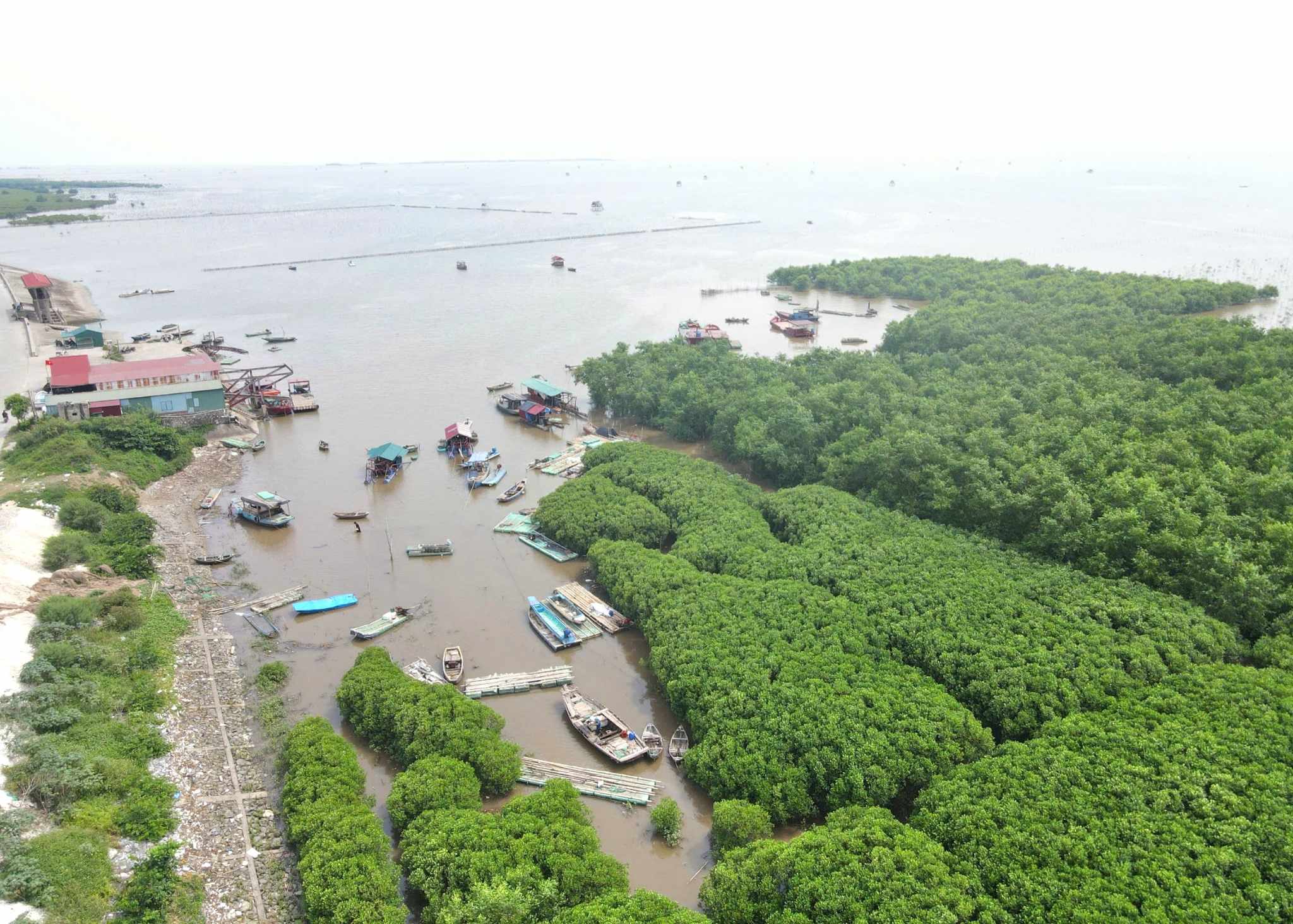 Hơn 1.300 người d&acirc;n ở Ninh B&igrave;nh sơ t&aacute;n tr&aacute;nh b&atilde;o Yagi- Ảnh 1.