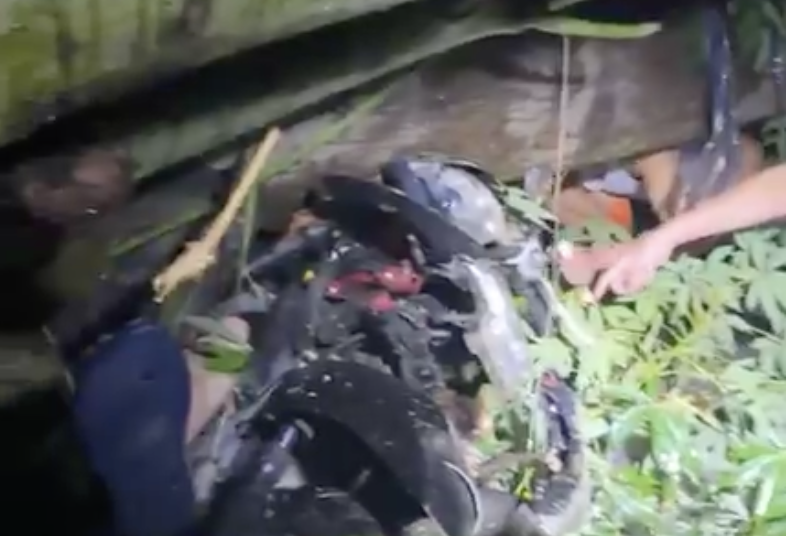 C&acirc;y xanh đổ đ&egrave; tr&uacute;ng người đi đường ở Thanh H&oacute;a trong cơn mưa lớn trước b&atilde;o số 3- Ảnh 2.