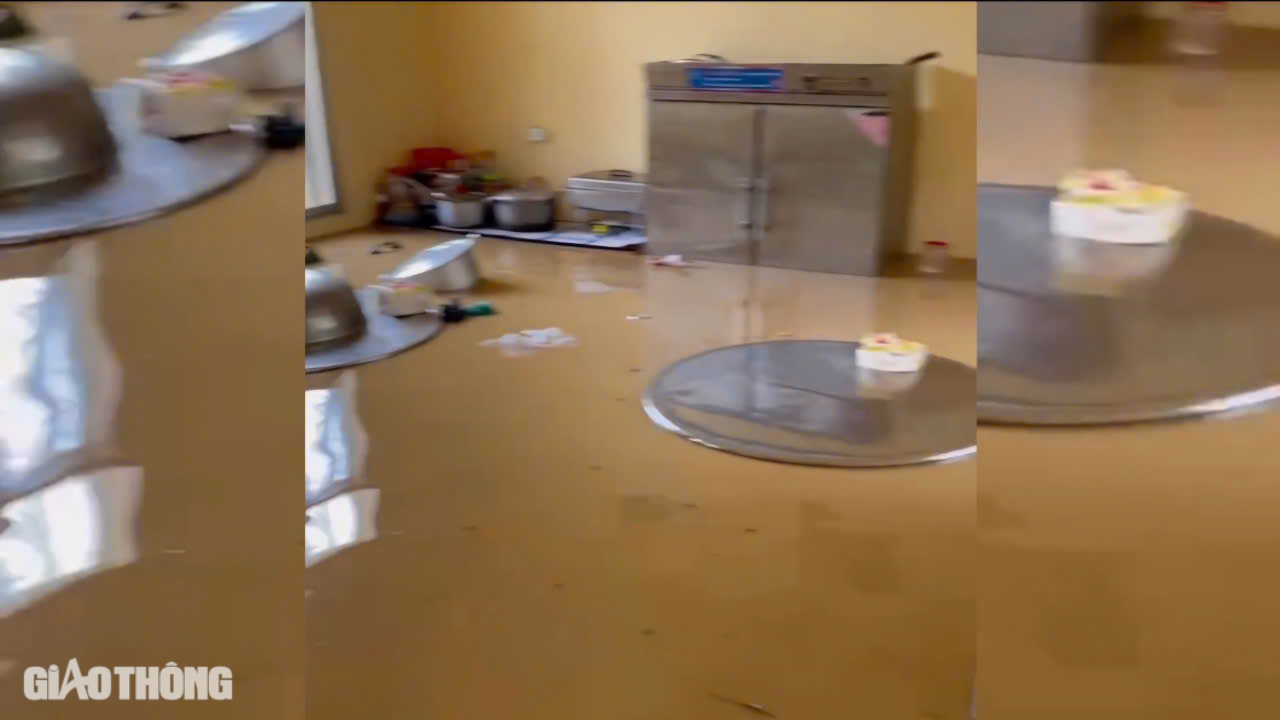 Lạng Sơn: CSGT chạy b&atilde;o cho... gần 500 xe vi phạm- Ảnh 18.