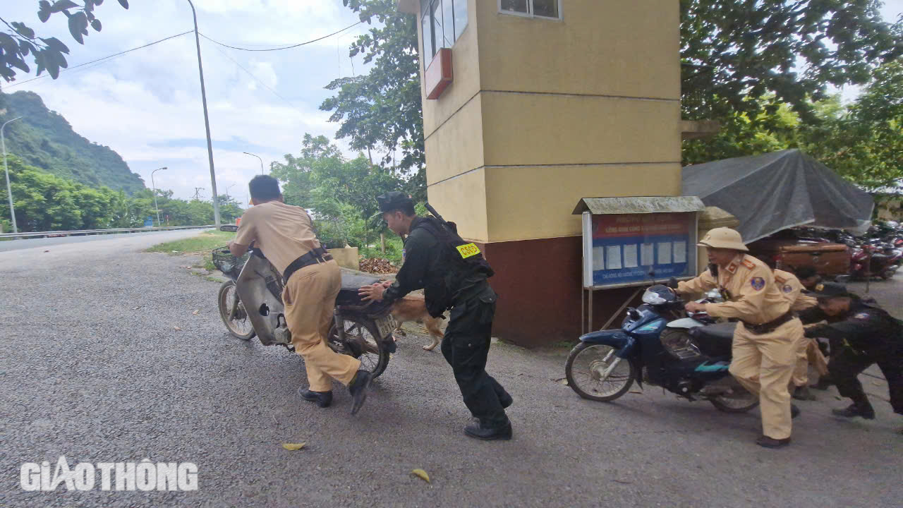 Lạng Sơn: CSGT chạy b&atilde;o cho... gần 500 xe vi phạm- Ảnh 10.