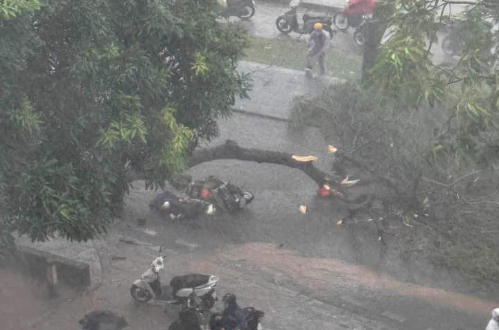 H&agrave; Nội: Cơn gi&ocirc;ng đầu của b&atilde;o Yagi, c&acirc;y đổ tr&uacute;ng 2 người đi đường, 1 người tử vong- Ảnh 1.