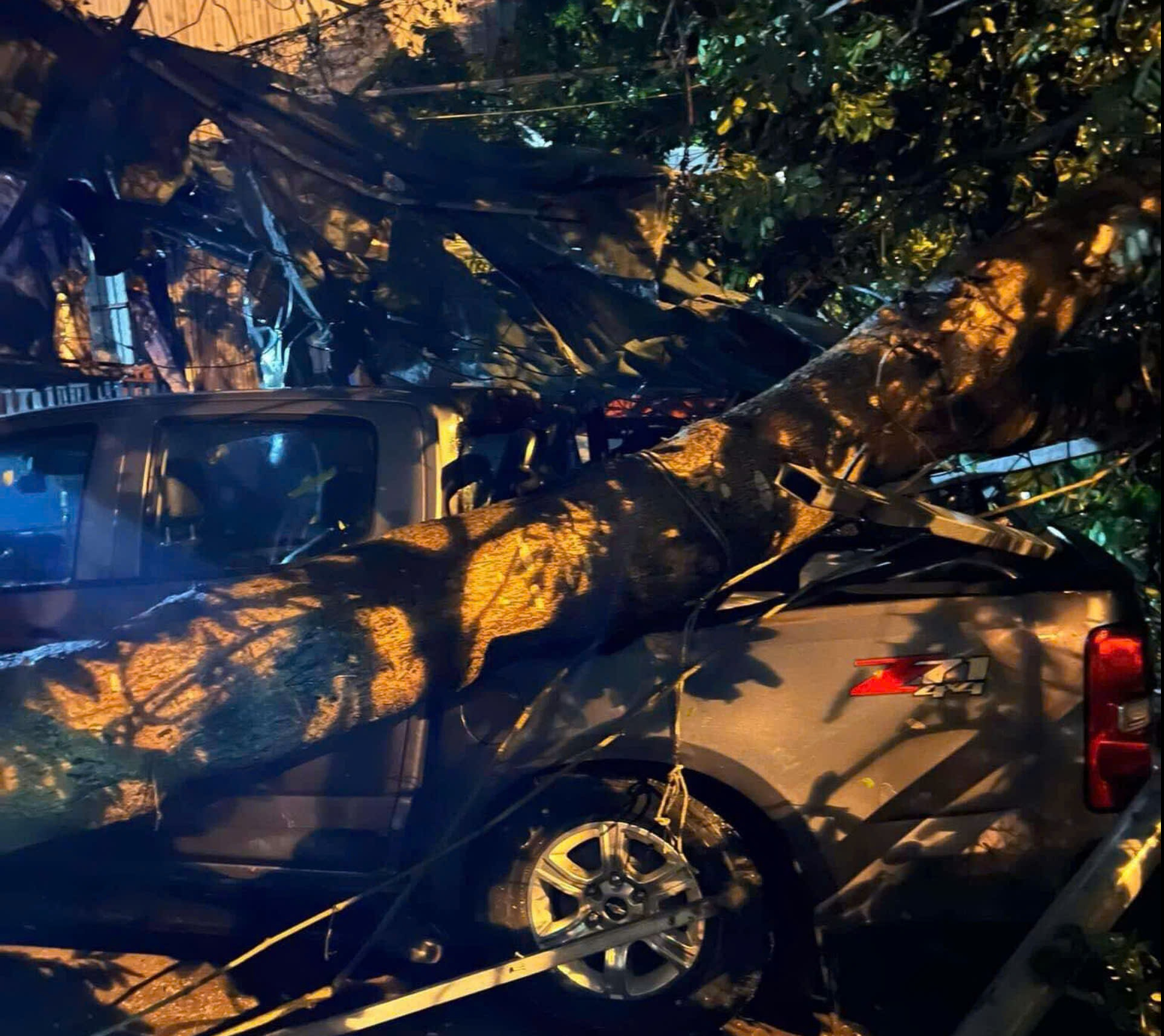 Mưa gi&ocirc;ng tại Vĩnh Ph&uacute;c l&agrave;m đổ c&acirc;y tại nhiều tuyến đường, tốc m&aacute;i trường học- Ảnh 3.