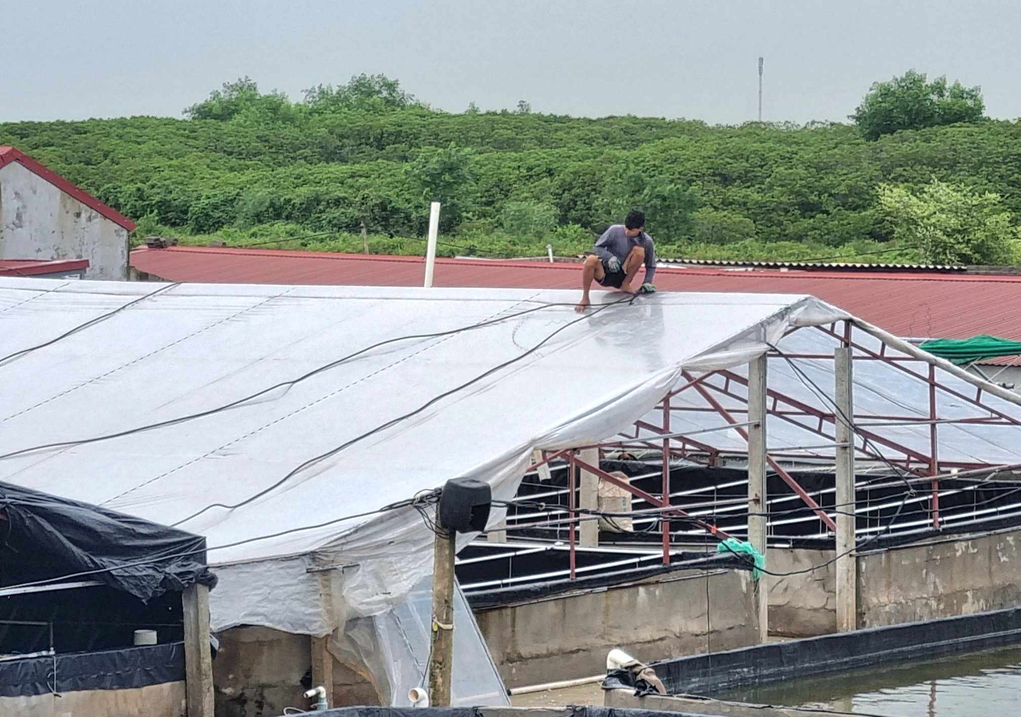 Hơn 1.300 người d&acirc;n ở Ninh B&igrave;nh sơ t&aacute;n tr&aacute;nh b&atilde;o Yagi- Ảnh 3.