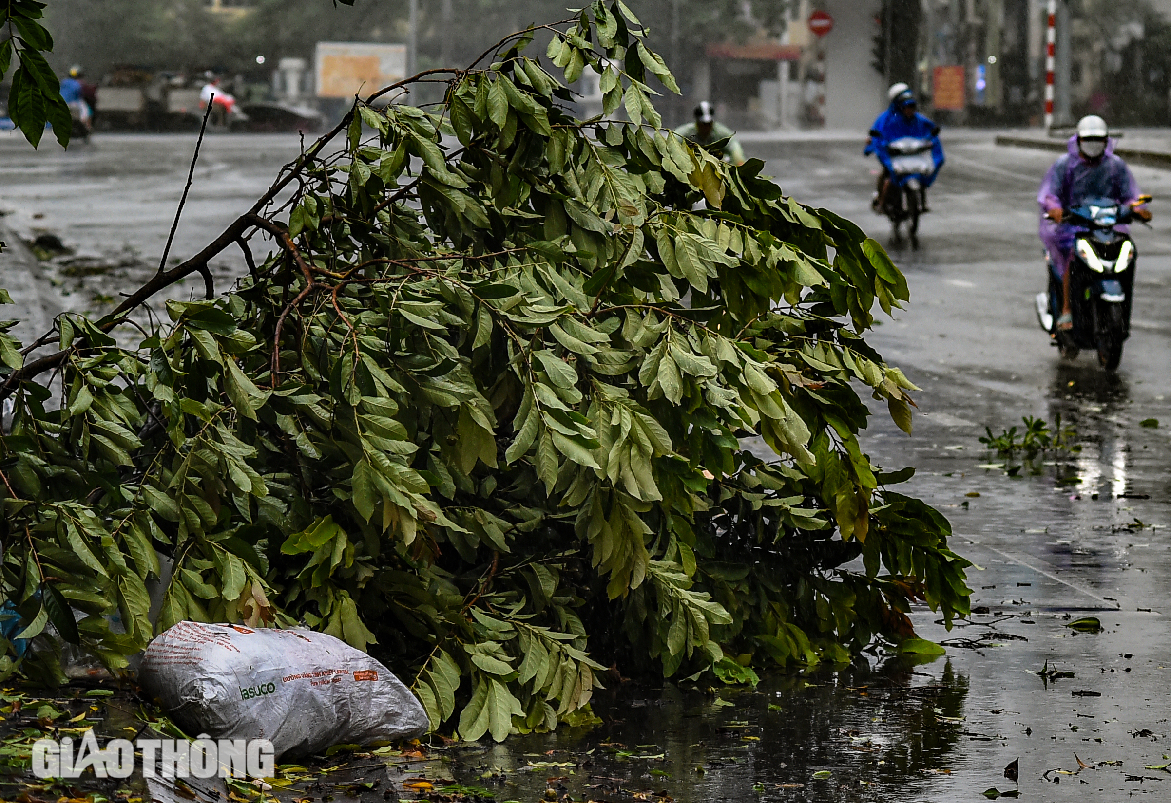 B&atilde;o số 3 tr&agrave;n về H&agrave; Nội, gi&oacute; giật mạnh quật ng&atilde; nhiều người đi đường- Ảnh 9.