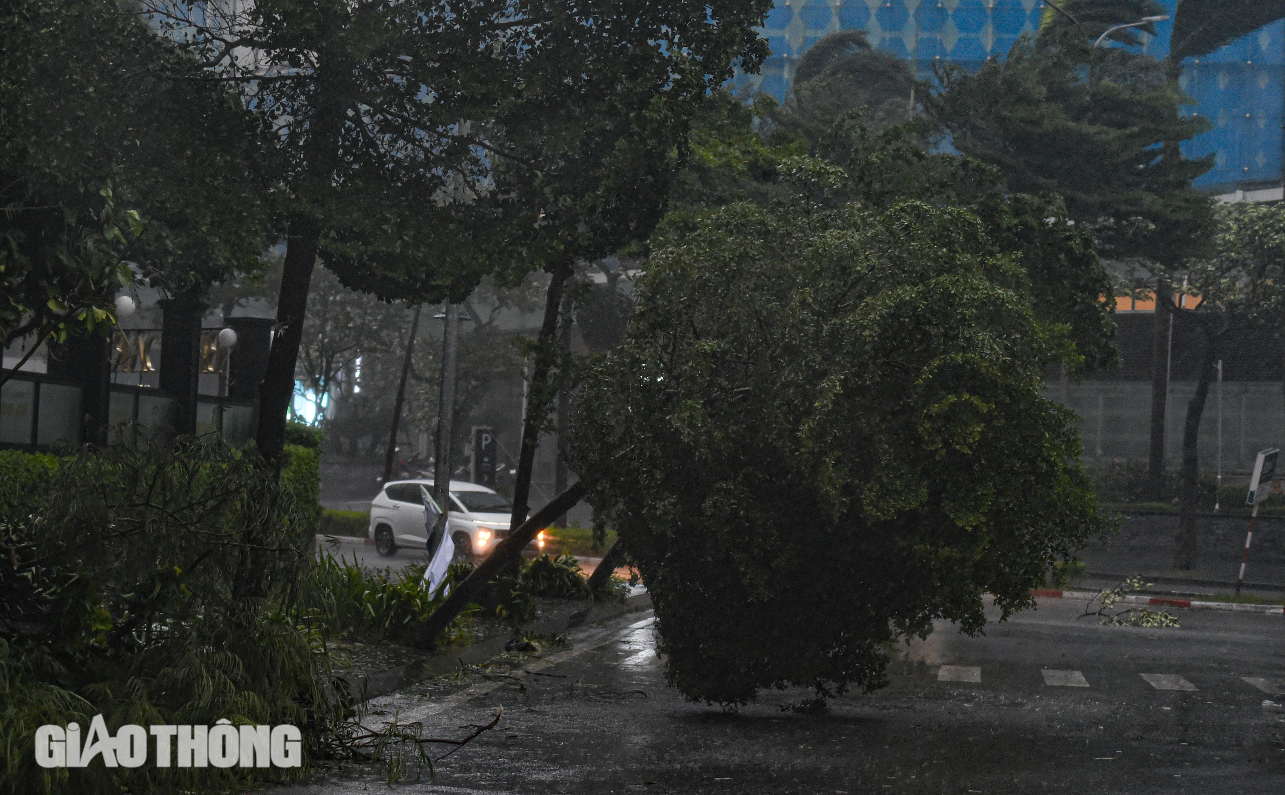 B&atilde;o số 3 tr&agrave;n về H&agrave; Nội, gi&oacute; giật mạnh quật ng&atilde; nhiều người đi đường- Ảnh 10.