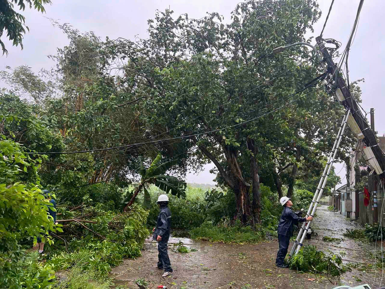 Điện lực H&agrave; Nội khẳng định kh&ocirc;ng cắt điện trong b&atilde;o số 3 Yagi- Ảnh 1.