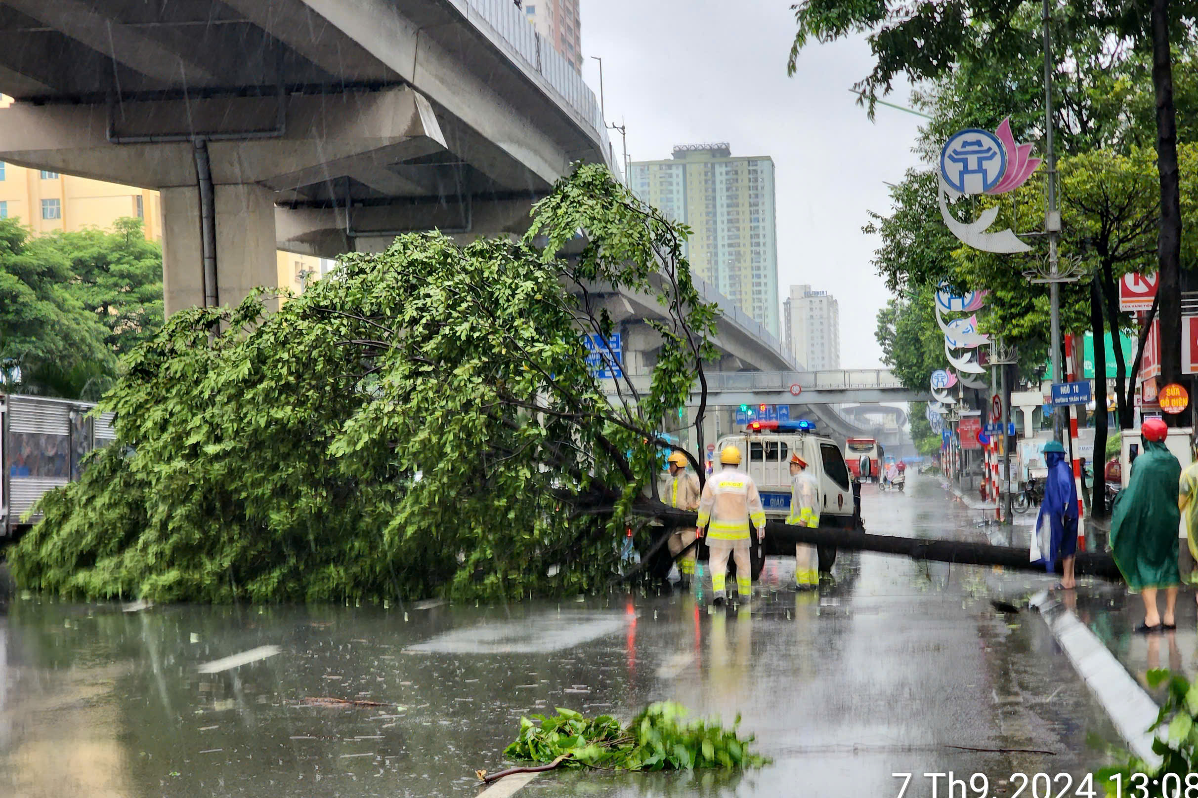 B&atilde;o số 3 Yagi đổ bộ: C&acirc;y đổ ngổn ngang, ngay trong mưa CSGT mang cưa, xe tải giải cứu- Ảnh 9.