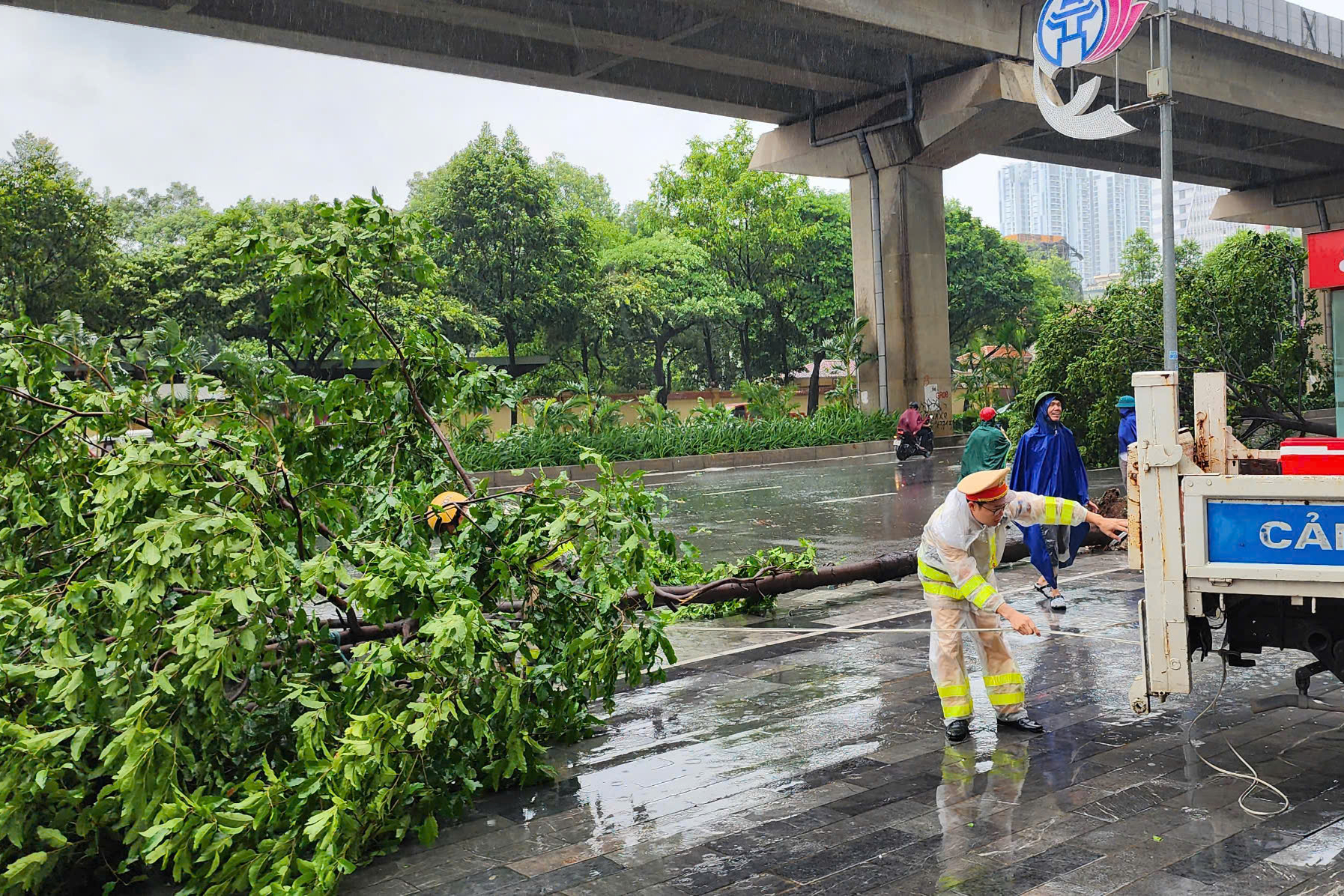 B&atilde;o số 3 Yagi đổ bộ: C&acirc;y đổ ngổn ngang, ngay trong mưa CSGT mang cưa, xe tải giải cứu- Ảnh 2.