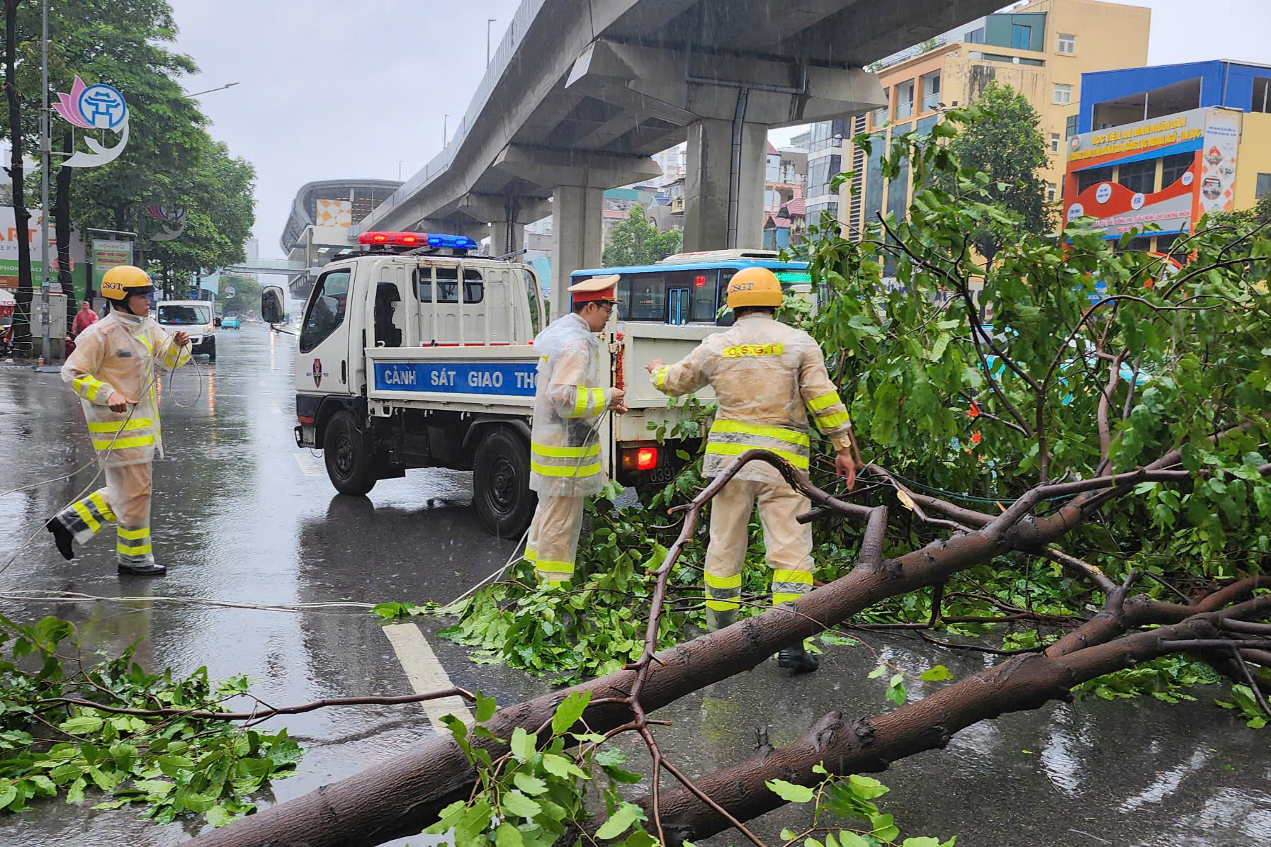 B&atilde;o số 3 Yagi đổ bộ: C&acirc;y đổ ngổn ngang, ngay trong mưa CSGT mang cưa, xe tải giải cứu- Ảnh 1.