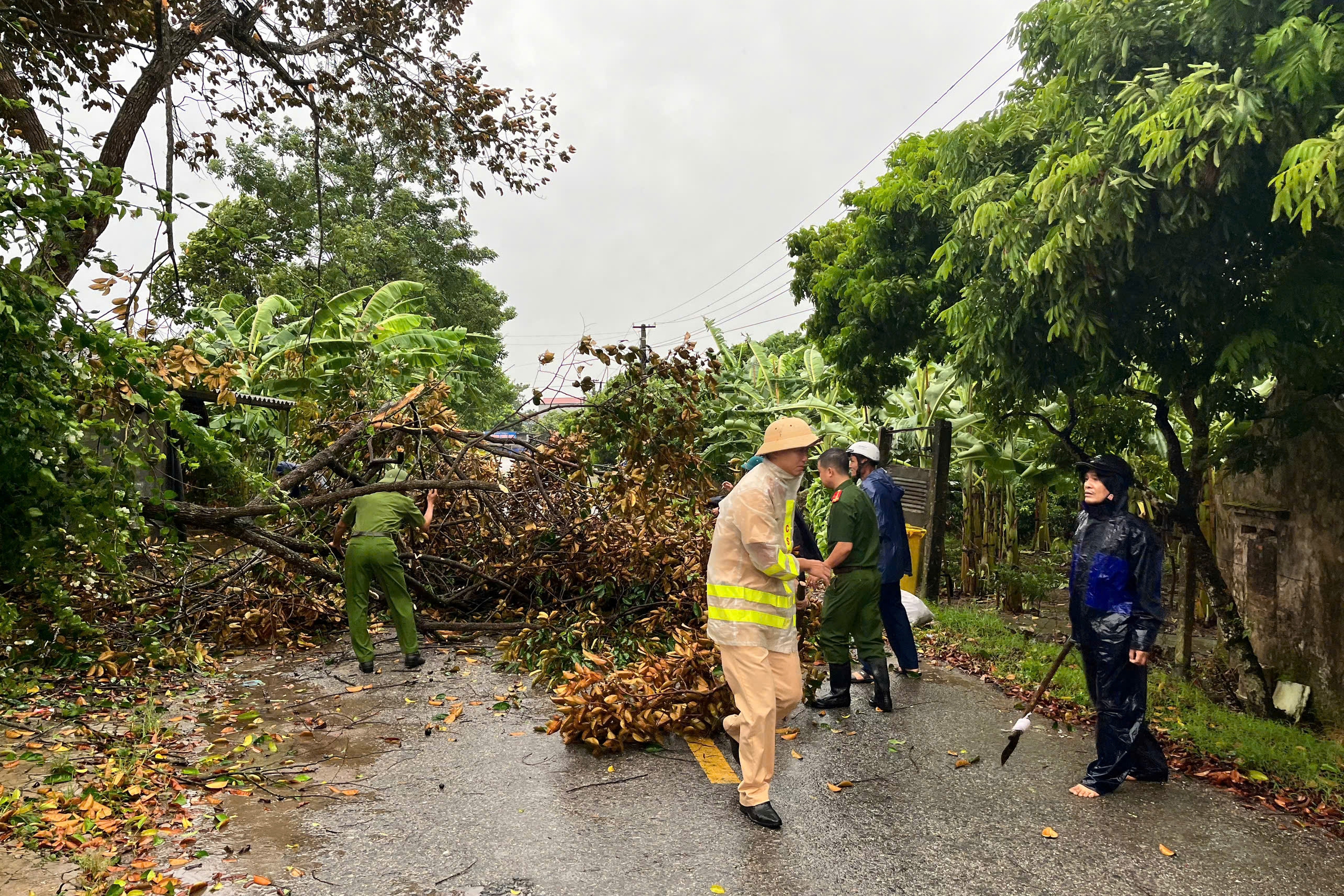 B&atilde;o số 3 Yagi đổ bộ: C&acirc;y đổ ngổn ngang, ngay trong mưa CSGT mang cưa, xe tải giải cứu- Ảnh 7.