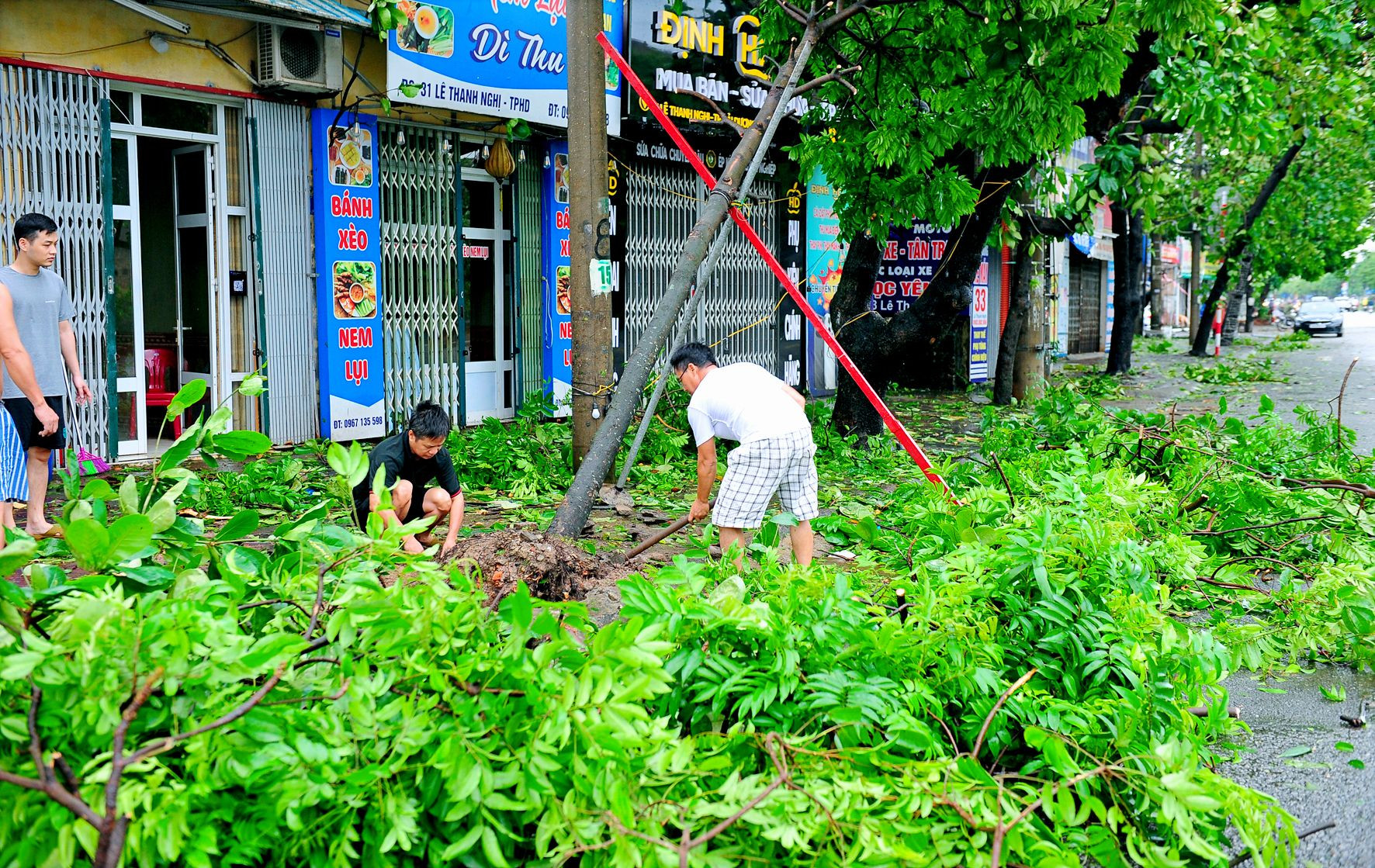 C&acirc;y đổ chắn k&iacute;n nhiều tuyến đường, người d&acirc;n Hải Dương xắn tay c&ugrave;ng giải tỏa- Ảnh 6.