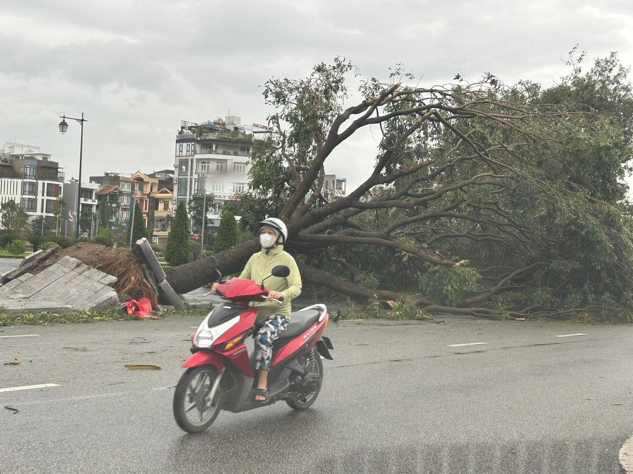 C&acirc;y đổ chắn k&iacute;n nhiều tuyến đường, người d&acirc;n Hải Dương xắn tay c&ugrave;ng giải tỏa- Ảnh 2.