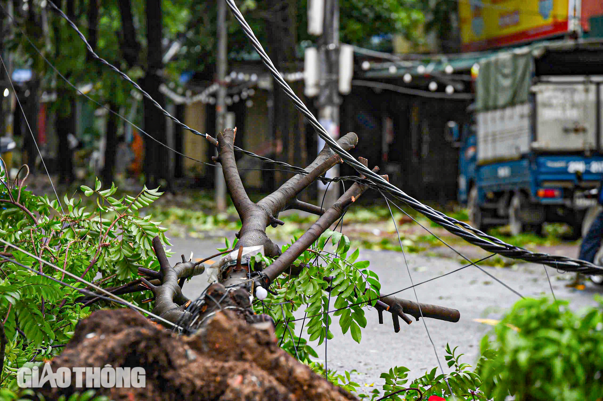 Cảnh tượng chưa từng có tại Hà Nội sau bão số 3 Yagi- Ảnh 15. Cảnh tượng chưa từng có tại Hà Nội sau bão số 3 Yagi- Ảnh 15.