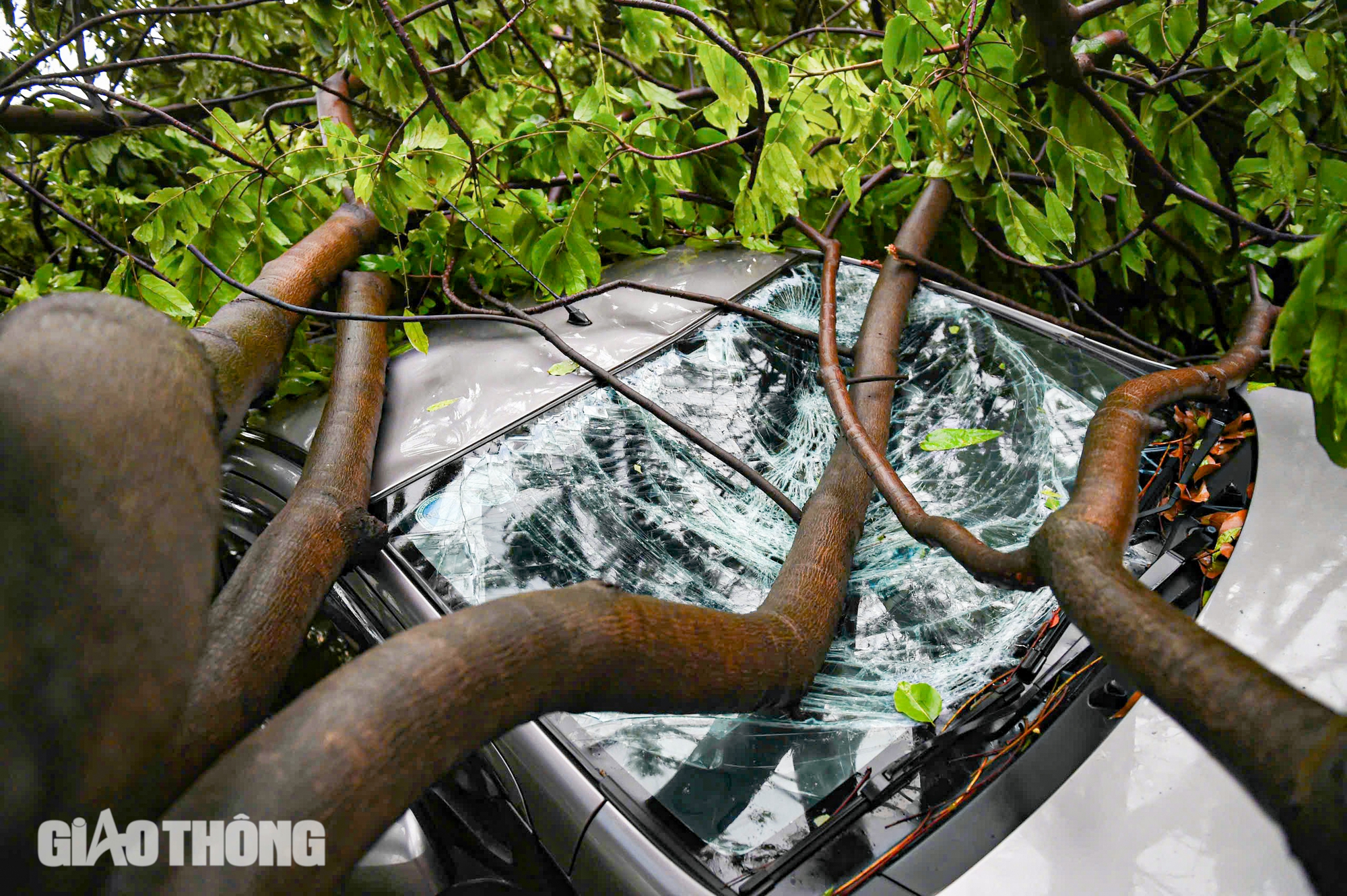 Cảnh tượng chưa từng có tại Hà Nội sau bão số 3 Yagi- Ảnh 19. Cảnh tượng chưa từng có tại Hà Nội sau bão số 3 Yagi- Ảnh 19.