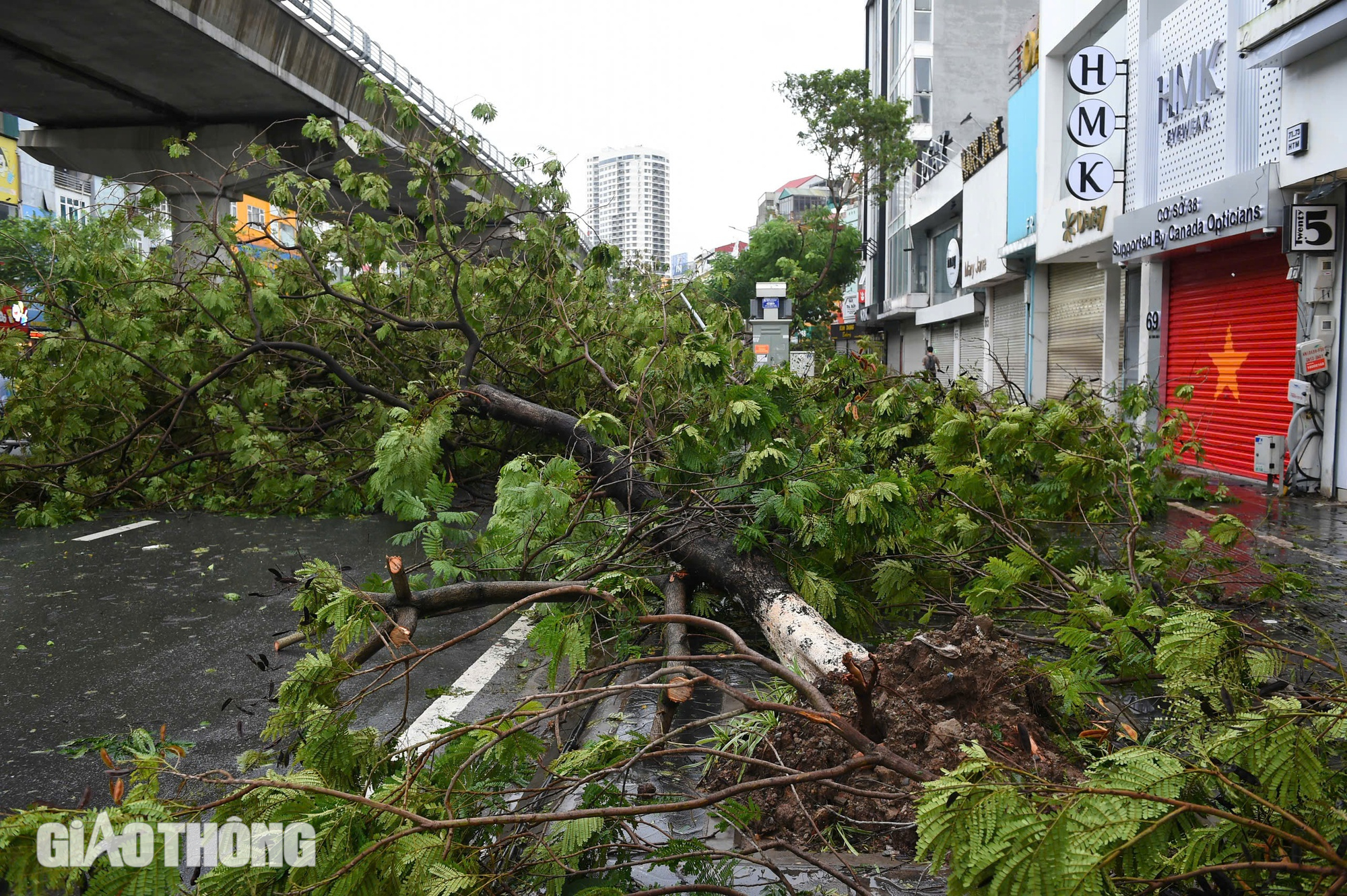 Cảnh tượng chưa từng có tại Hà Nội sau bão số 3 Yagi- Ảnh 2. Cảnh tượng chưa từng có tại Hà Nội sau bão số 3 Yagi- Ảnh 2.