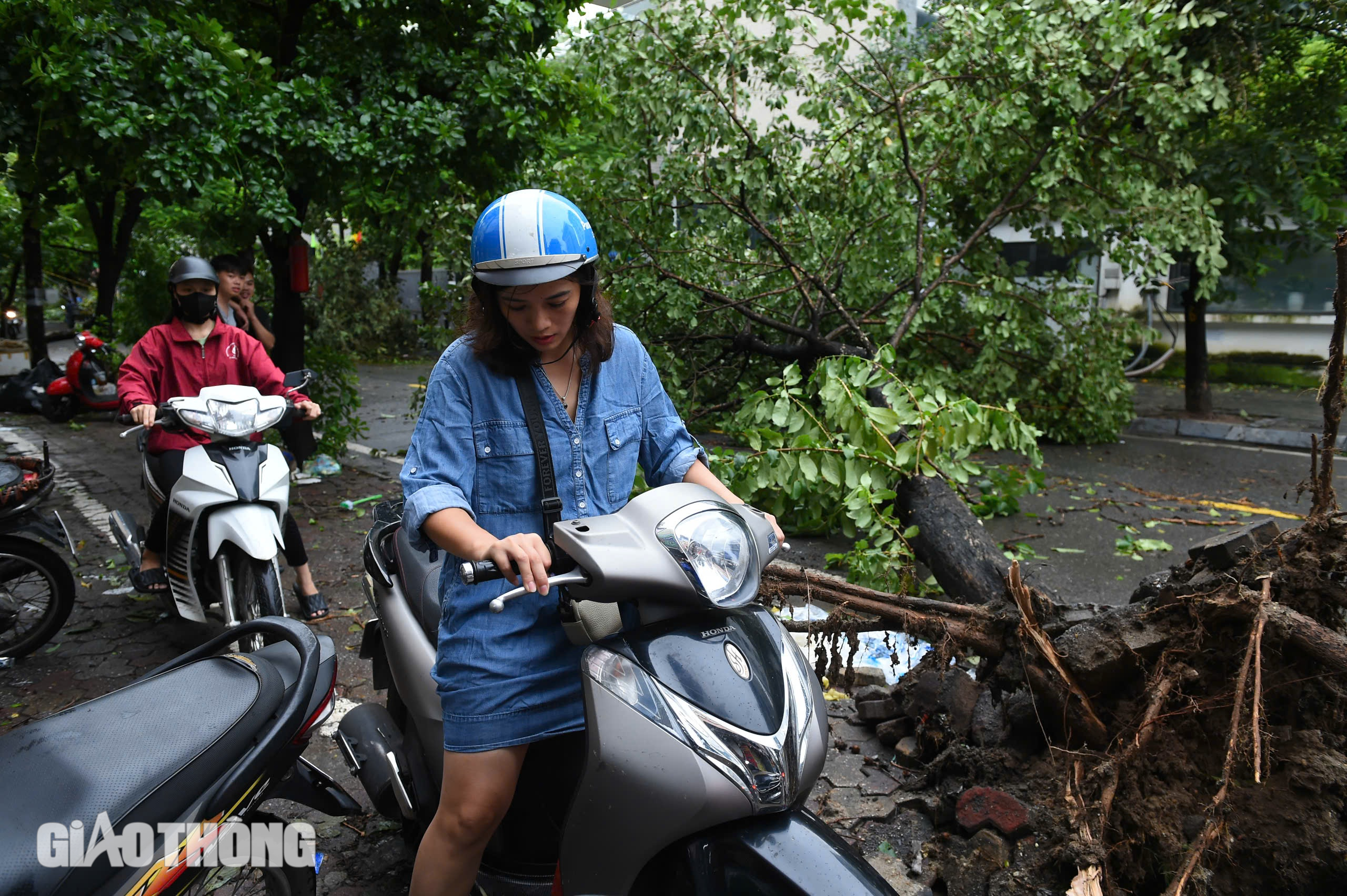 Cảnh tượng chưa từng có tại Hà Nội sau bão số 3 Yagi- Ảnh 7. Cảnh tượng chưa từng có tại Hà Nội sau bão số 3 Yagi- Ảnh 7.