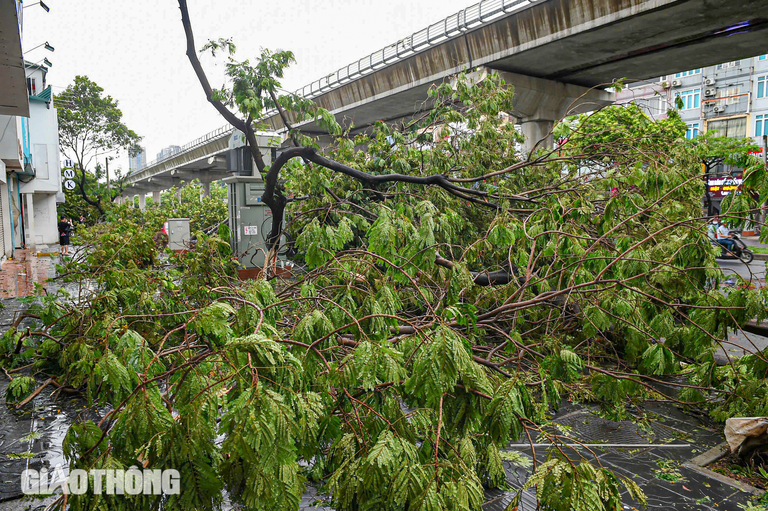 Cảnh tượng chưa từng có tại Hà Nội sau bão số 3 Yagi- Ảnh 3. Cảnh tượng chưa từng có tại Hà Nội sau bão số 3 Yagi- Ảnh 3.
