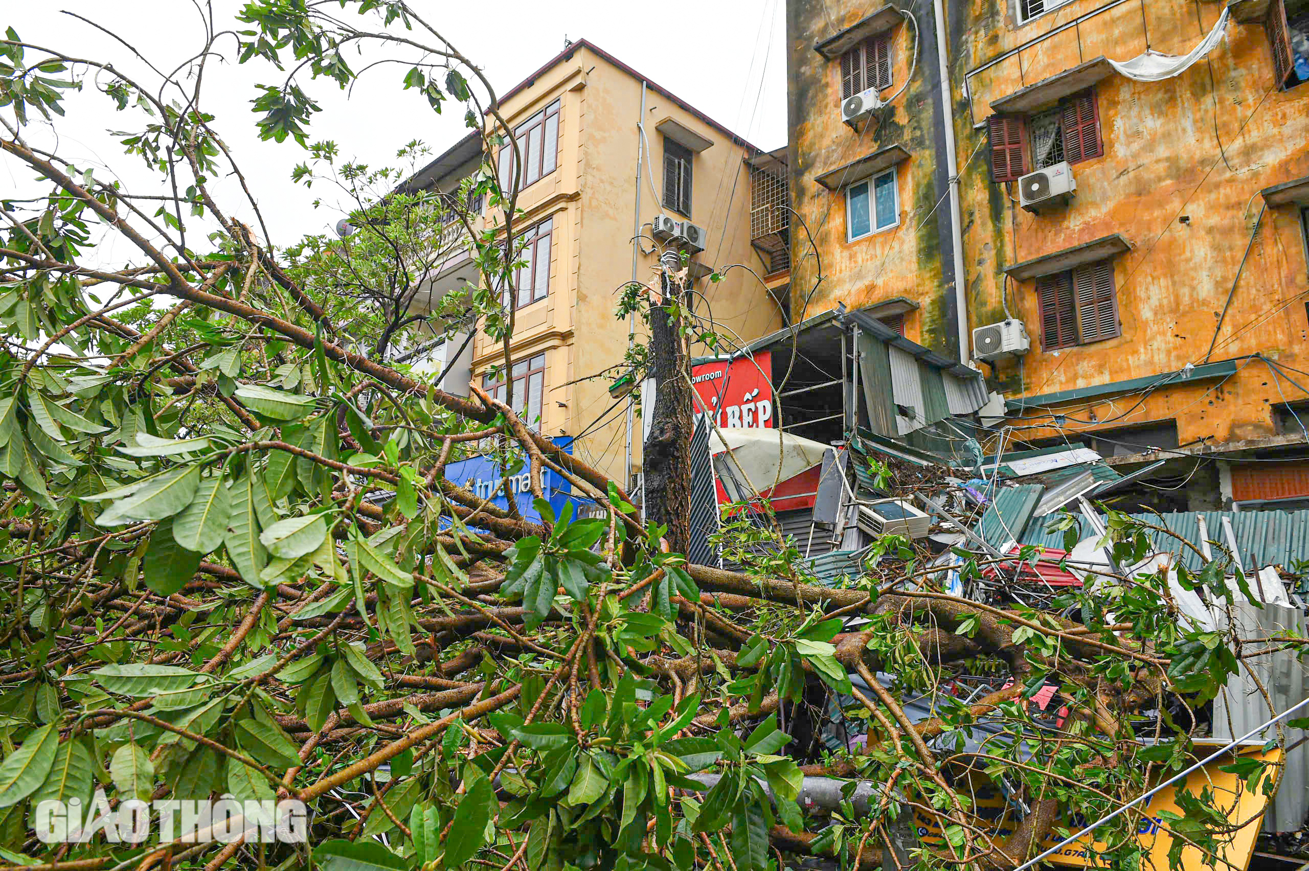 Cảnh tượng chưa từng có tại Hà Nội sau bão số 3 Yagi- Ảnh 8. Cảnh tượng chưa từng có tại Hà Nội sau bão số 3 Yagi- Ảnh 8.