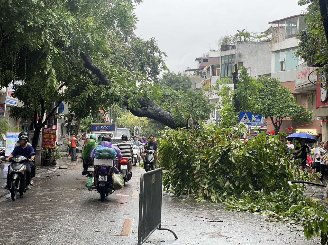 14.000 c&acirc;y xanh g&atilde;y đổ, H&agrave; Nội xuy&ecirc;n đ&ecirc;m dọn dẹp th&ocirc;ng đường- Ảnh 1.