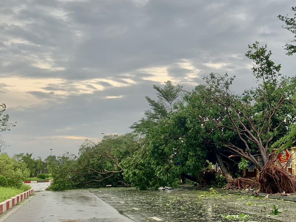 C&acirc;y đổ chắn k&iacute;n nhiều tuyến đường, người d&acirc;n Hải Dương xắn tay c&ugrave;ng giải tỏa- Ảnh 10.